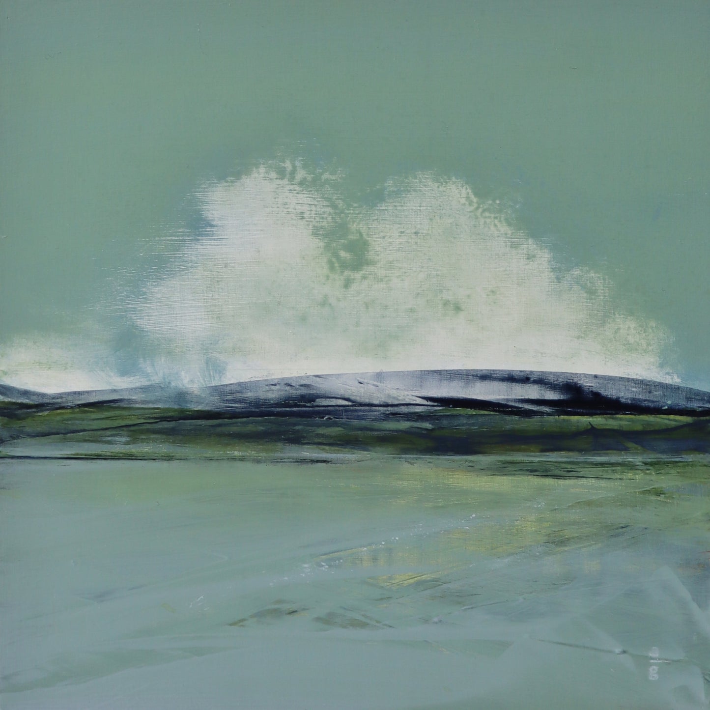 Shorelines
