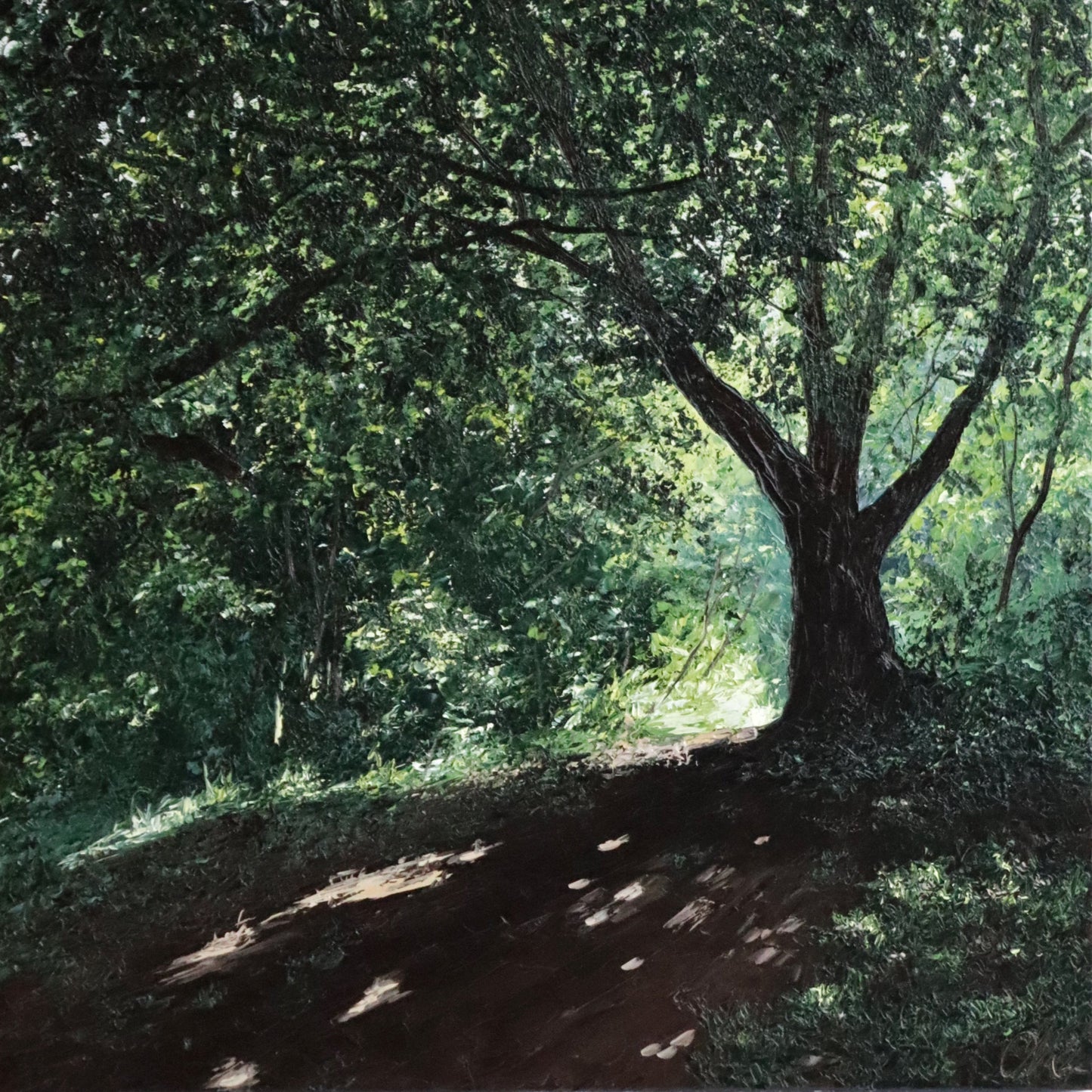 Meander II