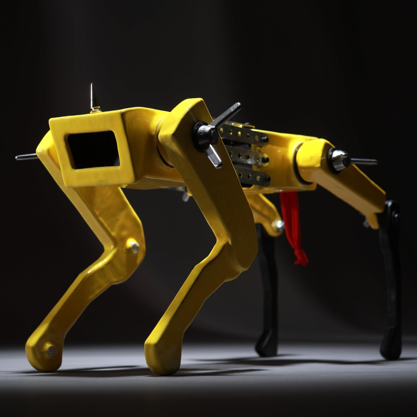 Black Dog (Yellow) VI