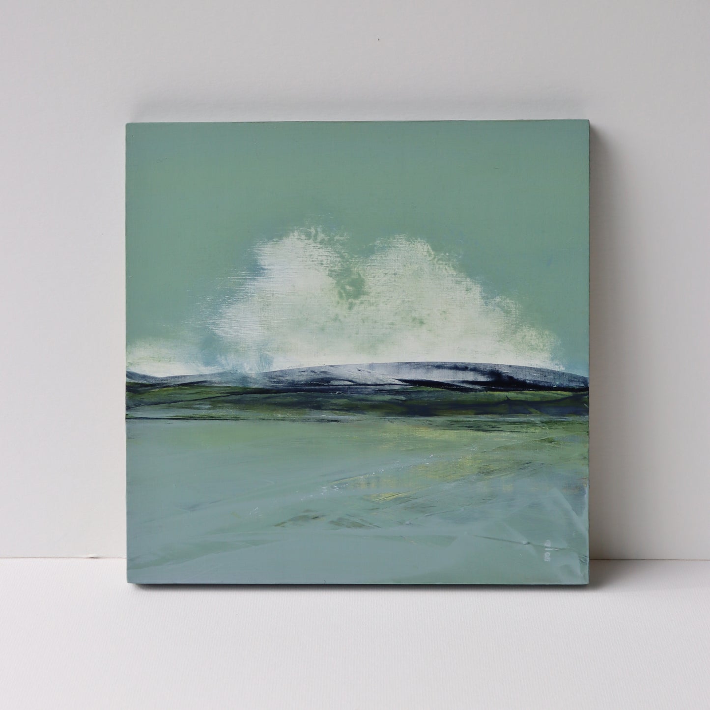 Shorelines