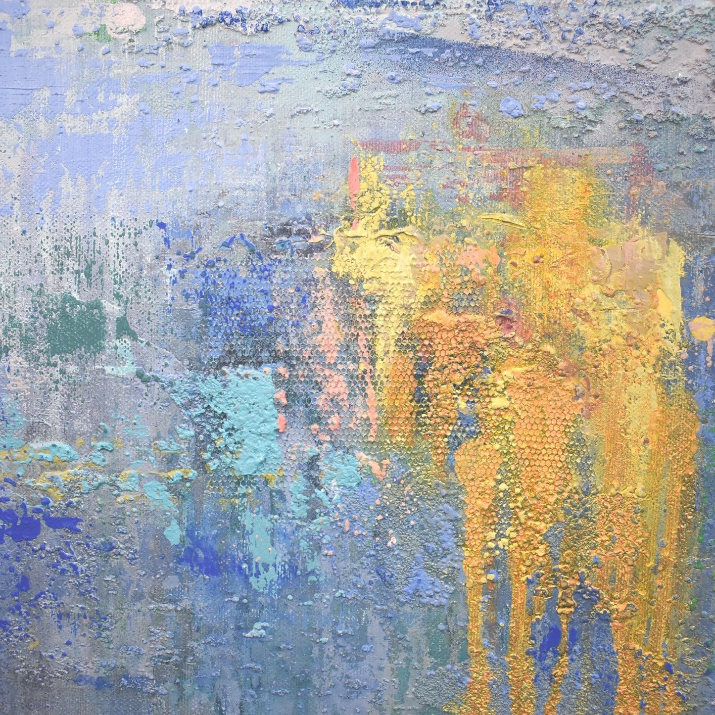 Salmon Shores