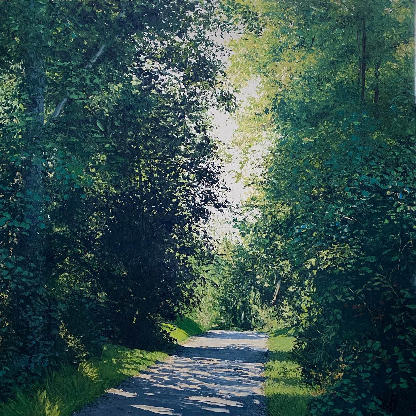 Curious Lane