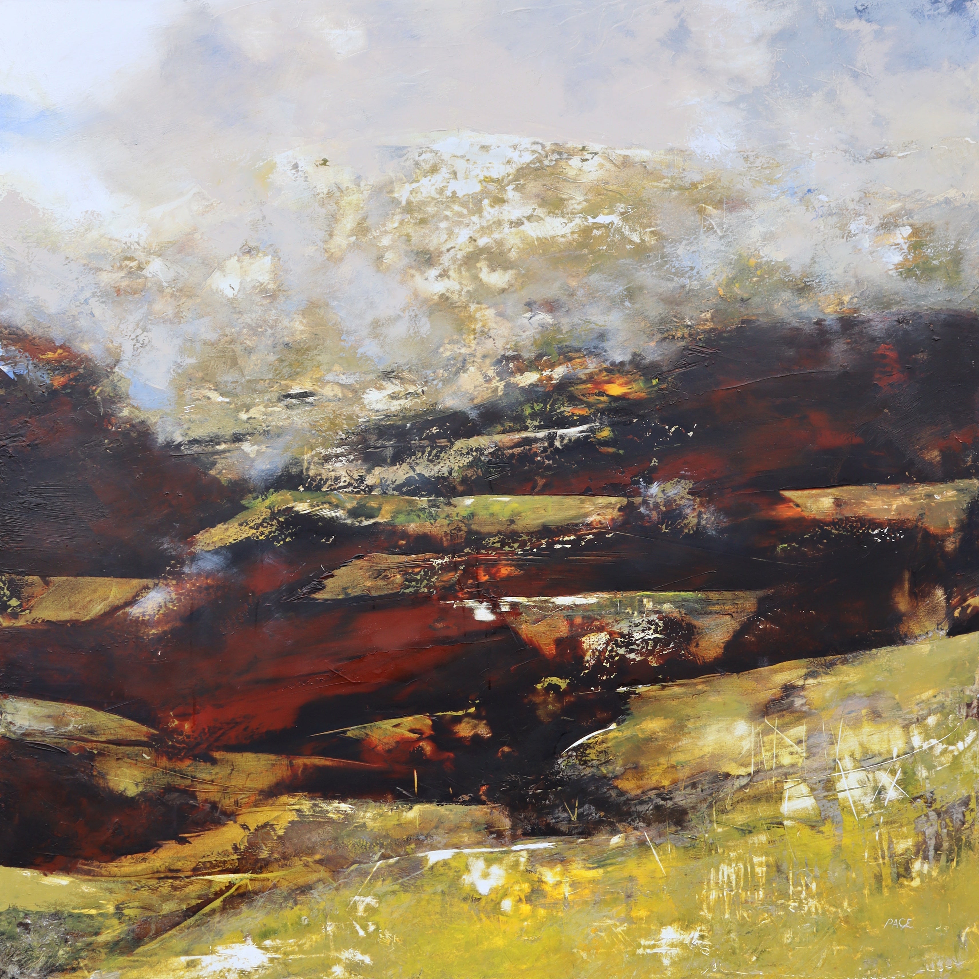 David Page