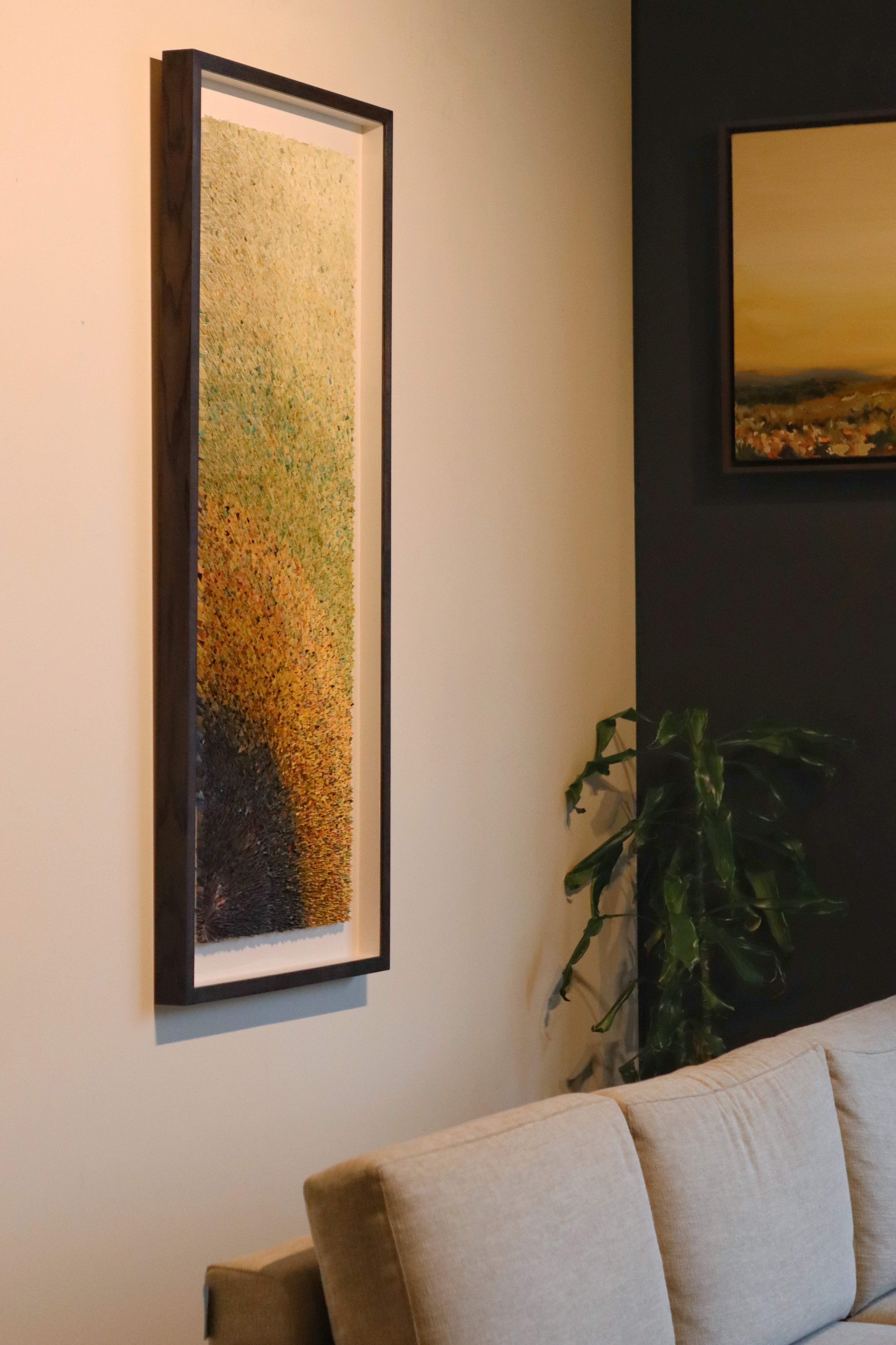 Patterns of the Universe