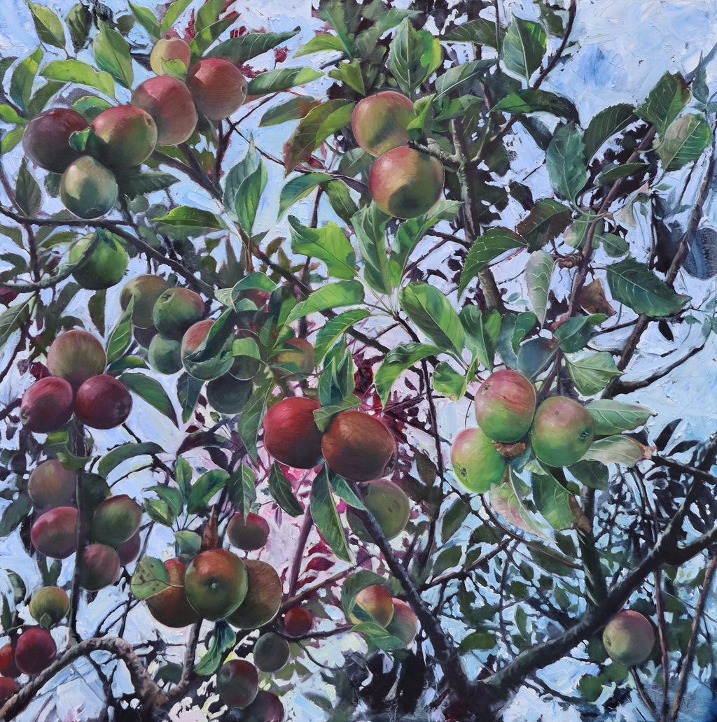 Nextdoor's Apple Tree