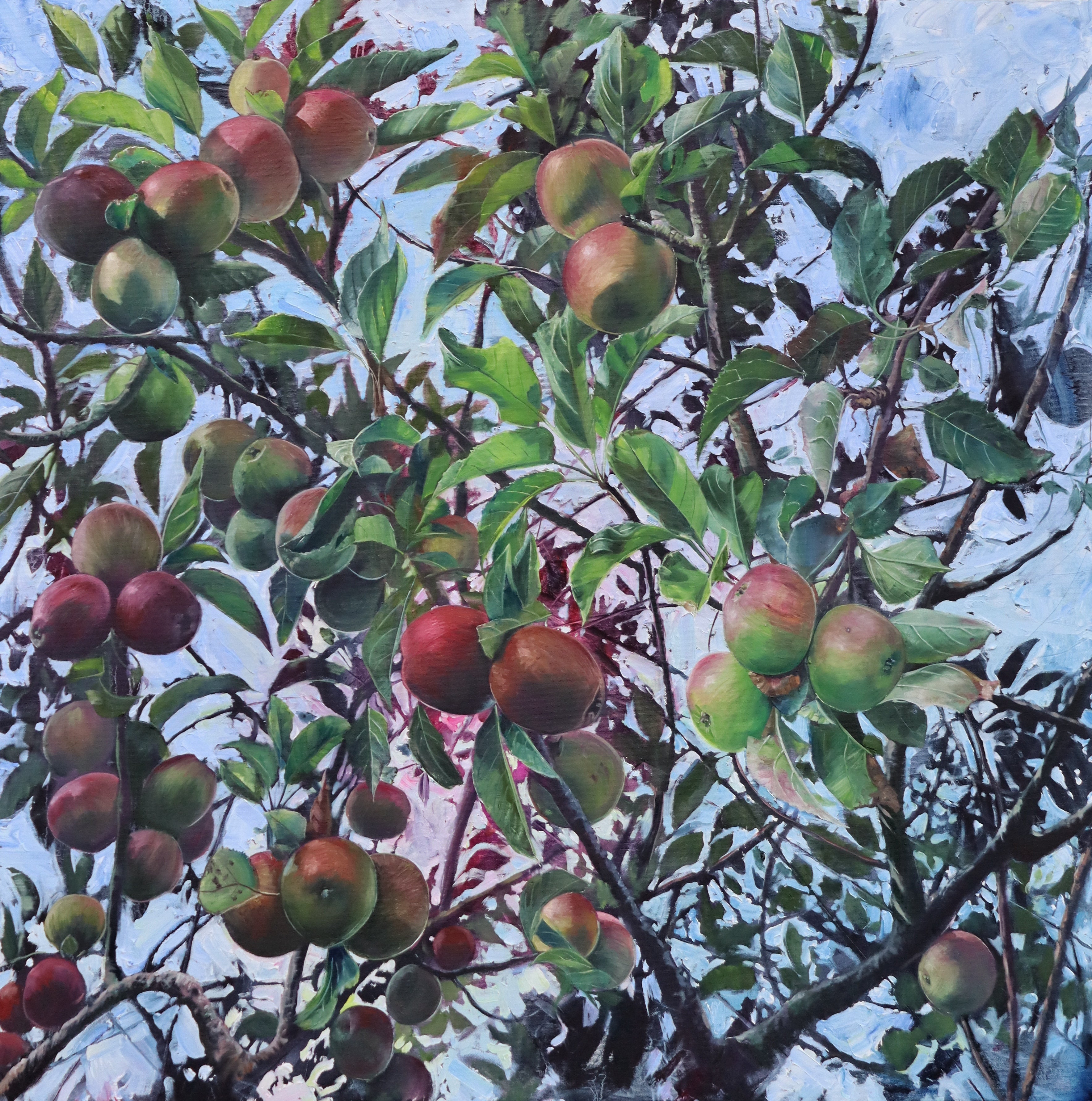 Nextdoor's Apple Tree