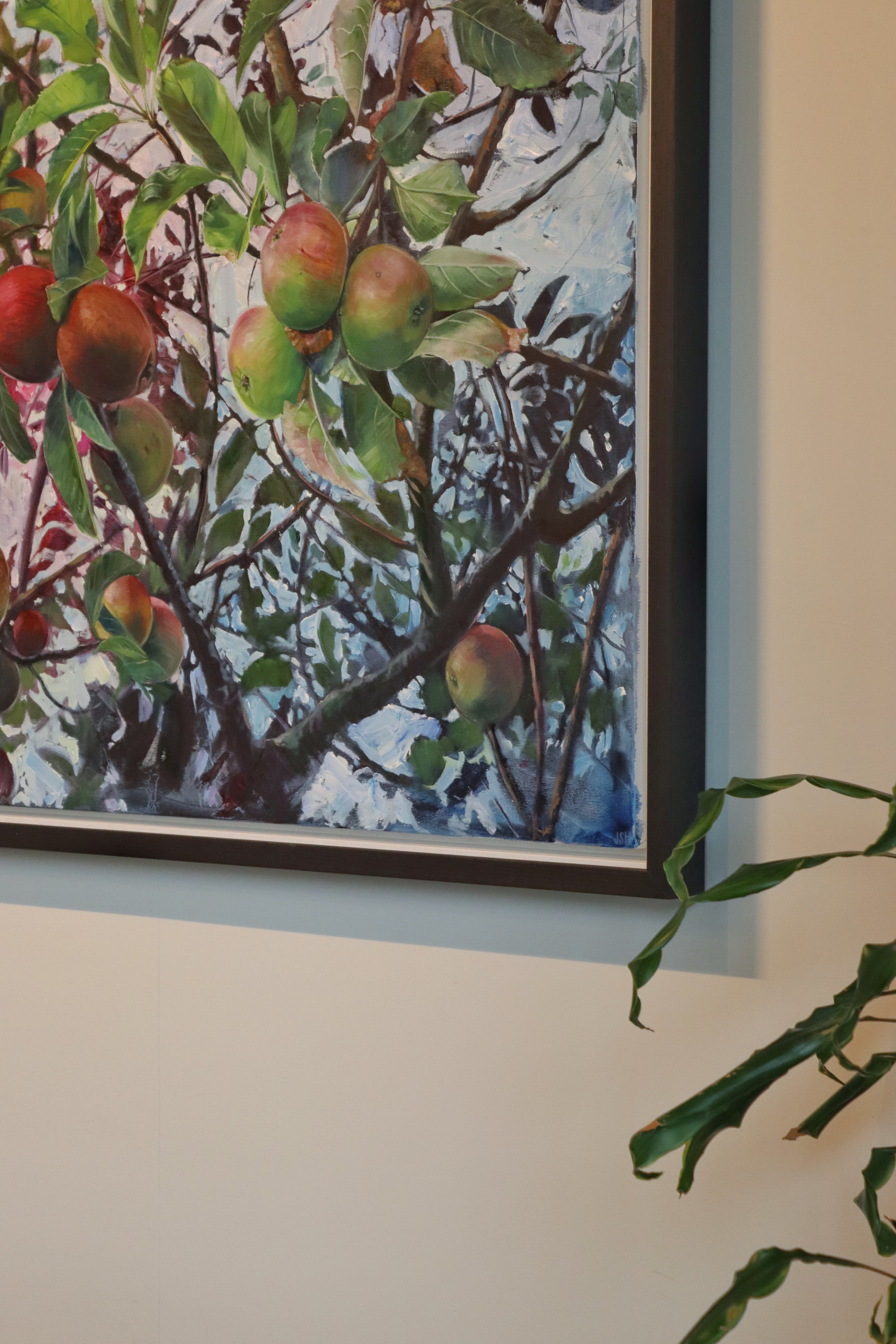 Nextdoor's Apple Tree