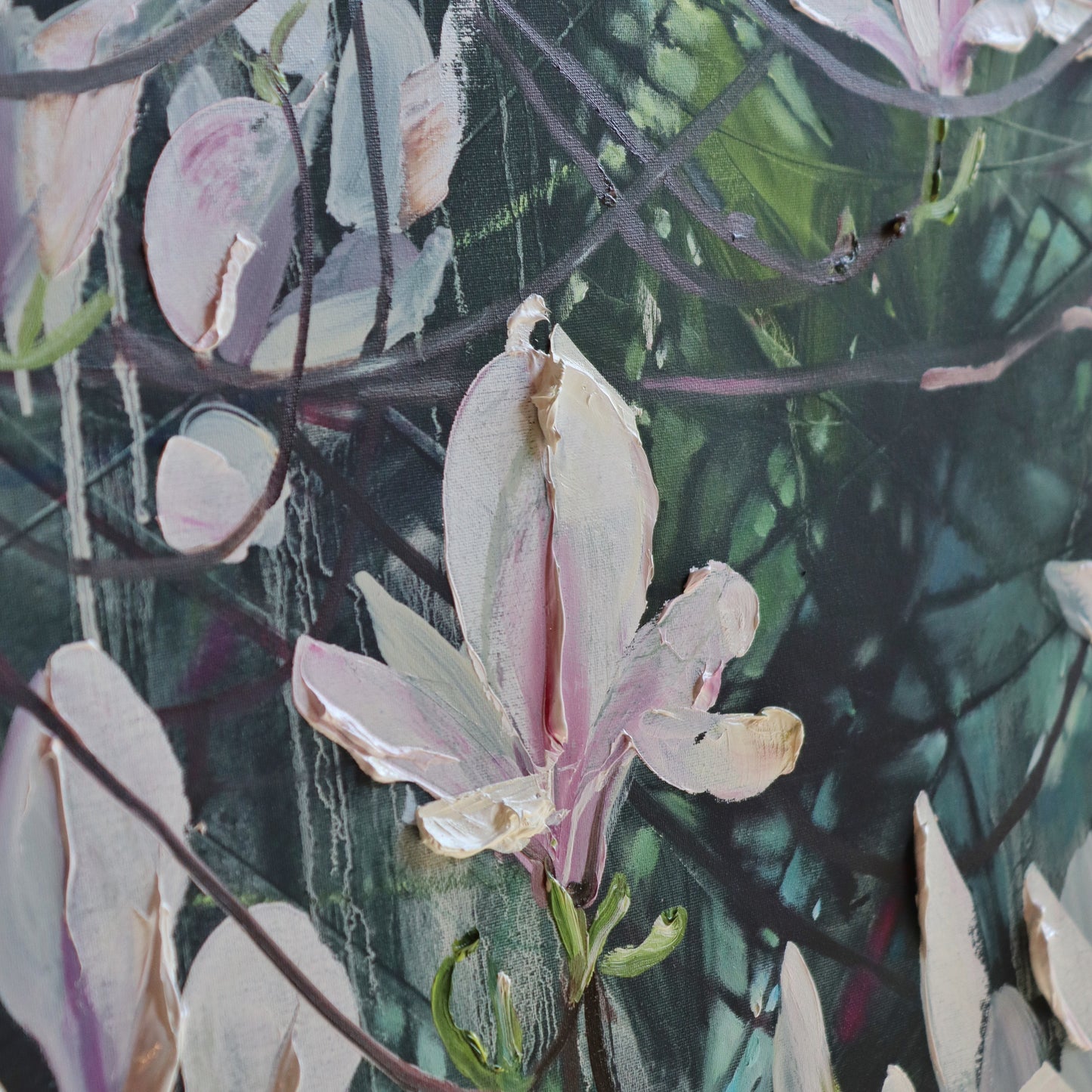 Kirkliston Magnolia