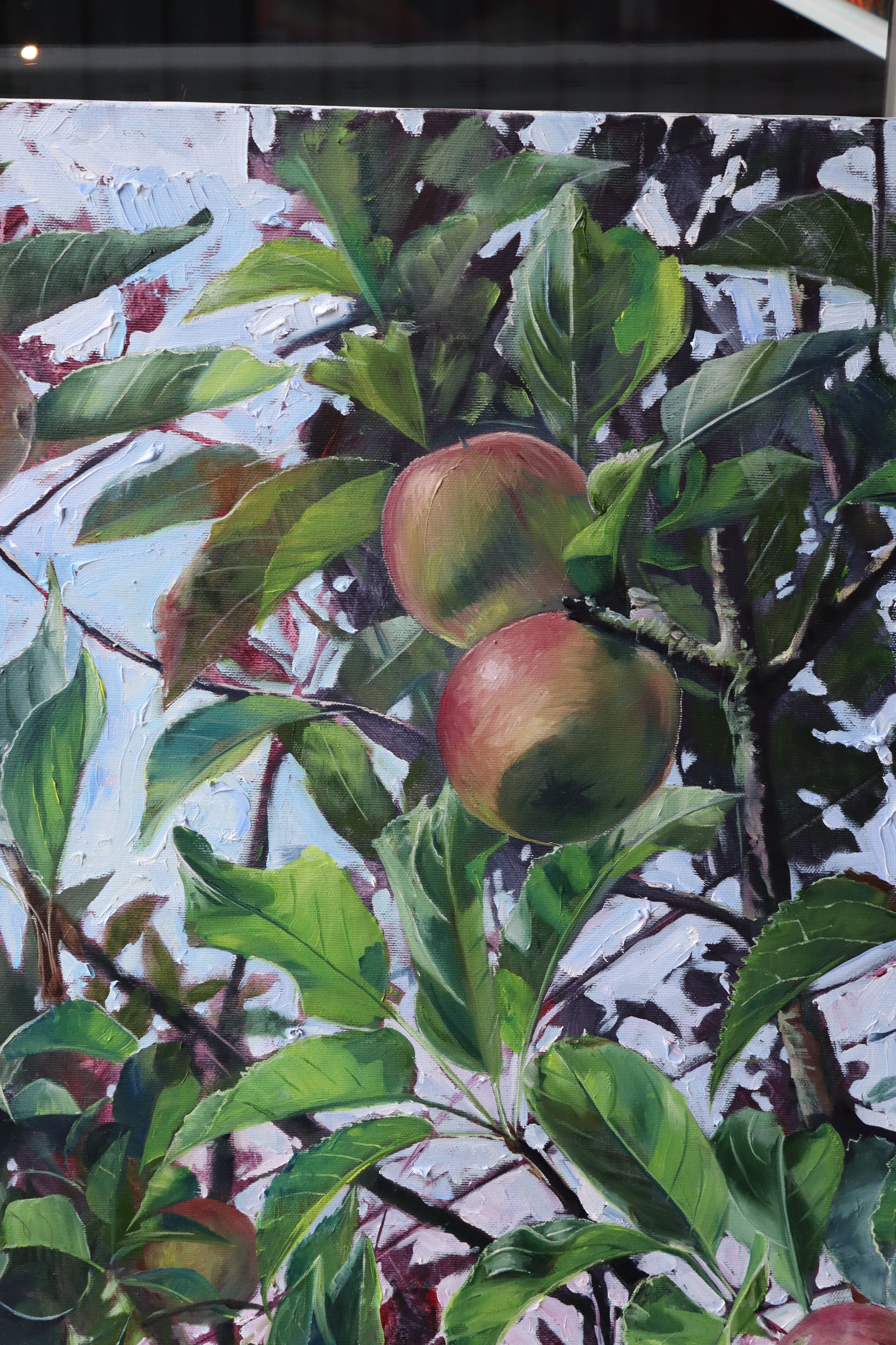 Nextdoor's Apple Tree