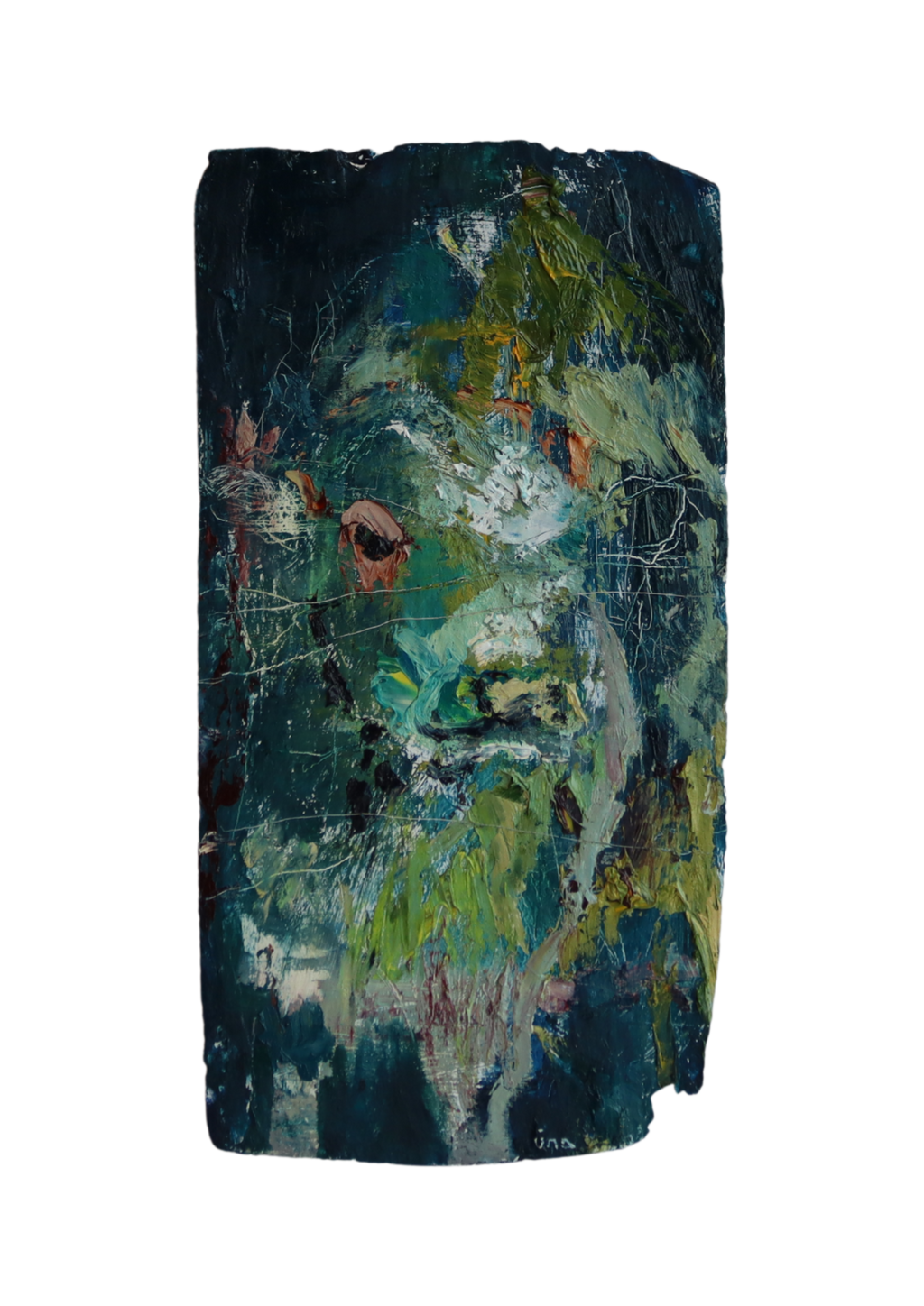 Calf Behind The Wire