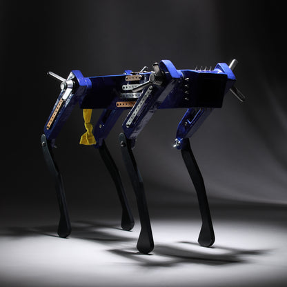 Black Dog (Blue)
