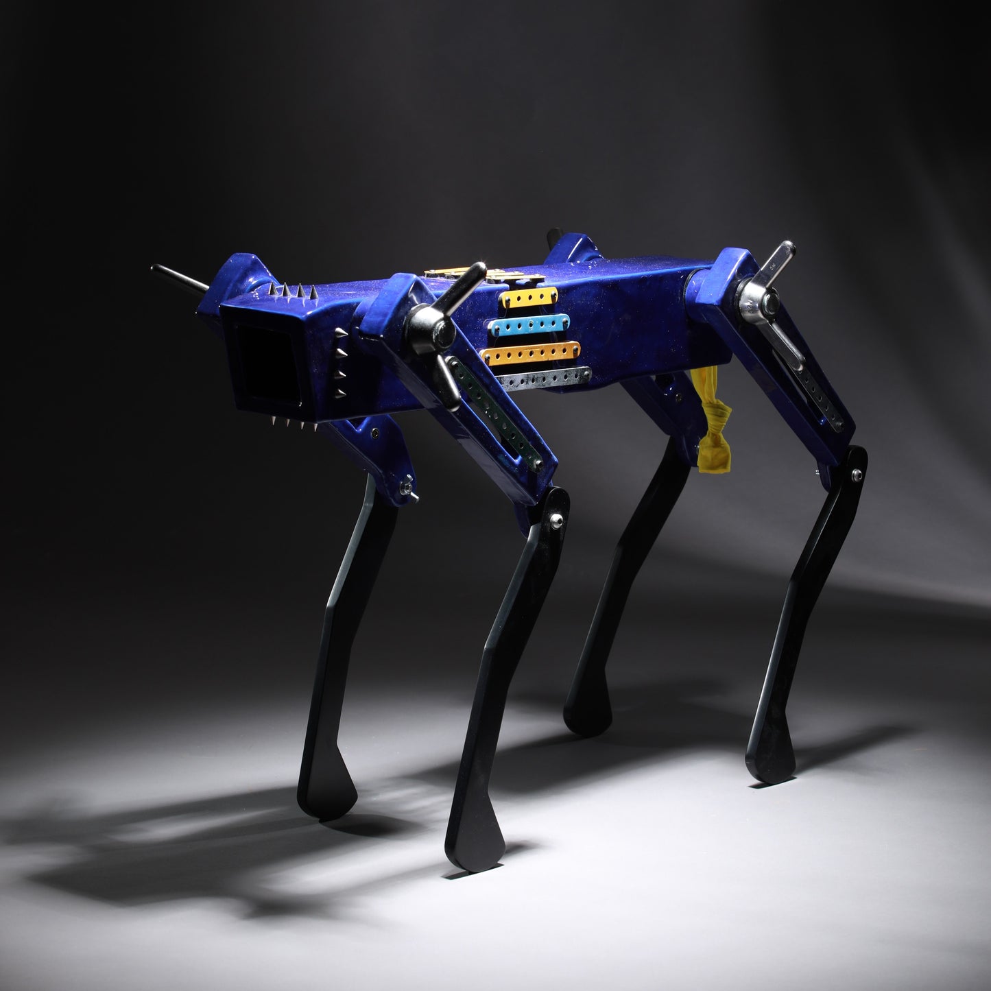 Black Dog (Blue)