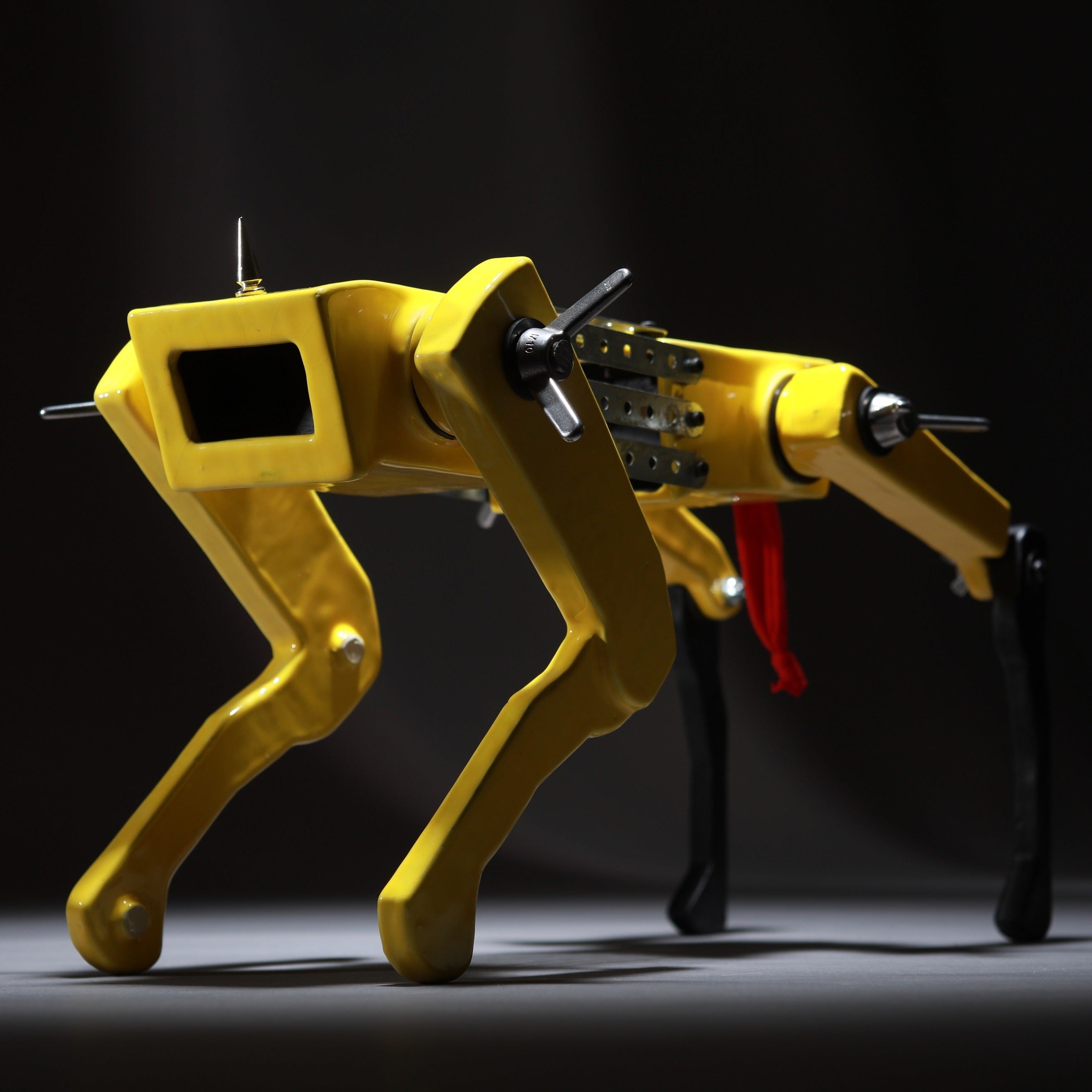 Black Dog (Yellow) VI