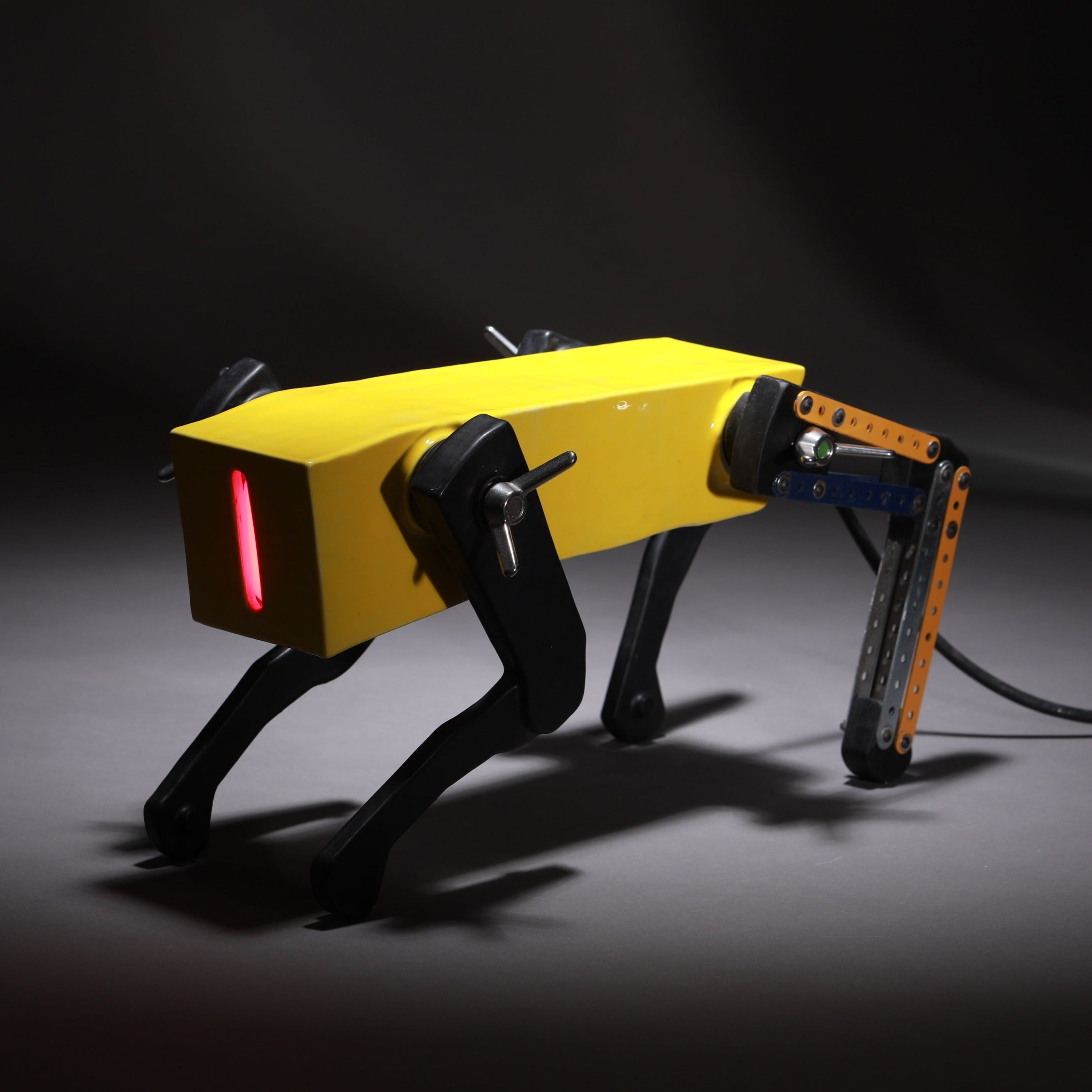 Black Dog (Yellow) III