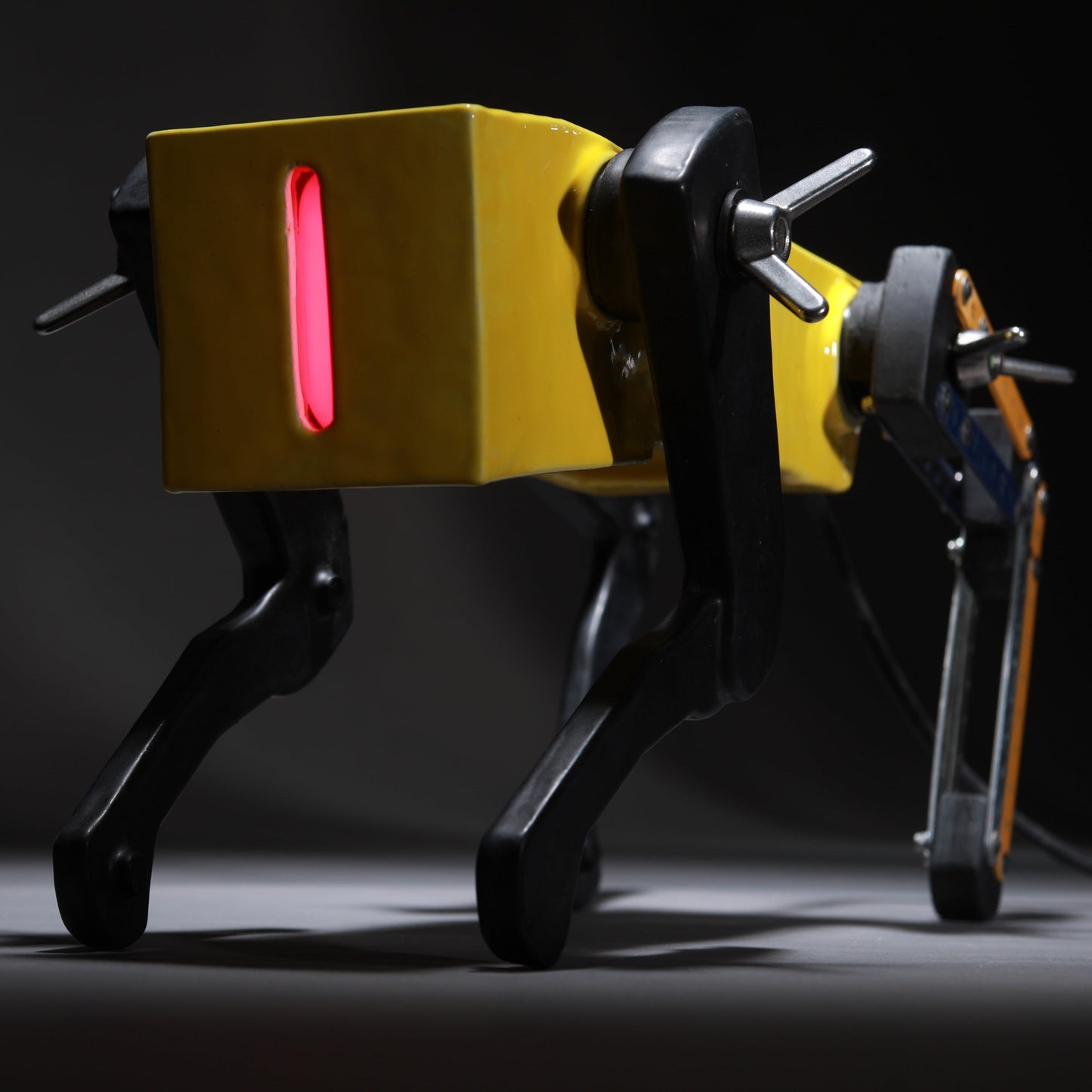 Black Dog (Yellow) III