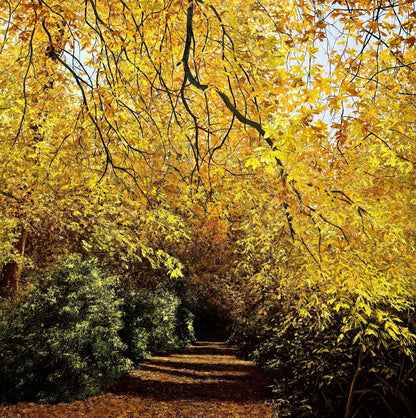 Gold Rush