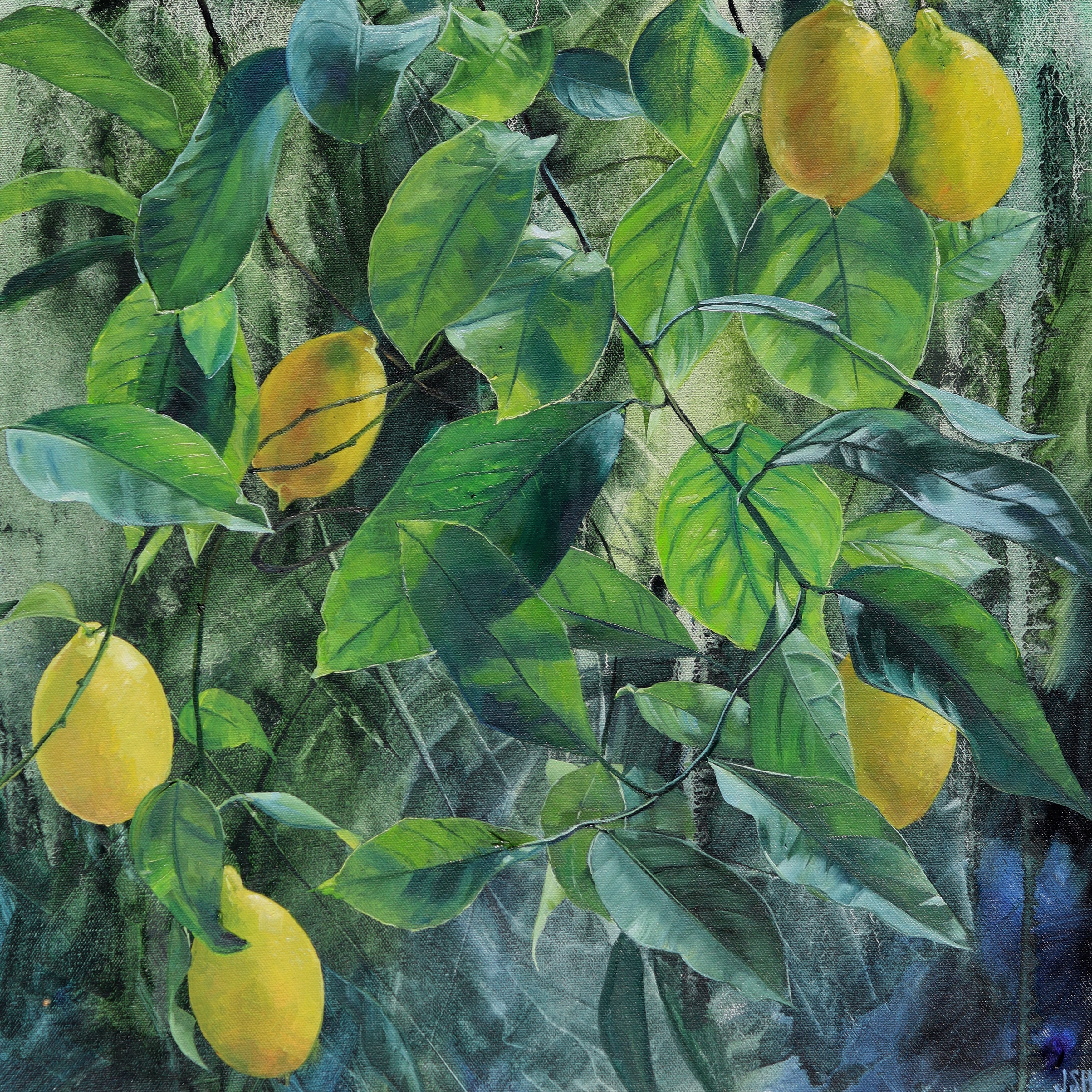The Lemon Tree