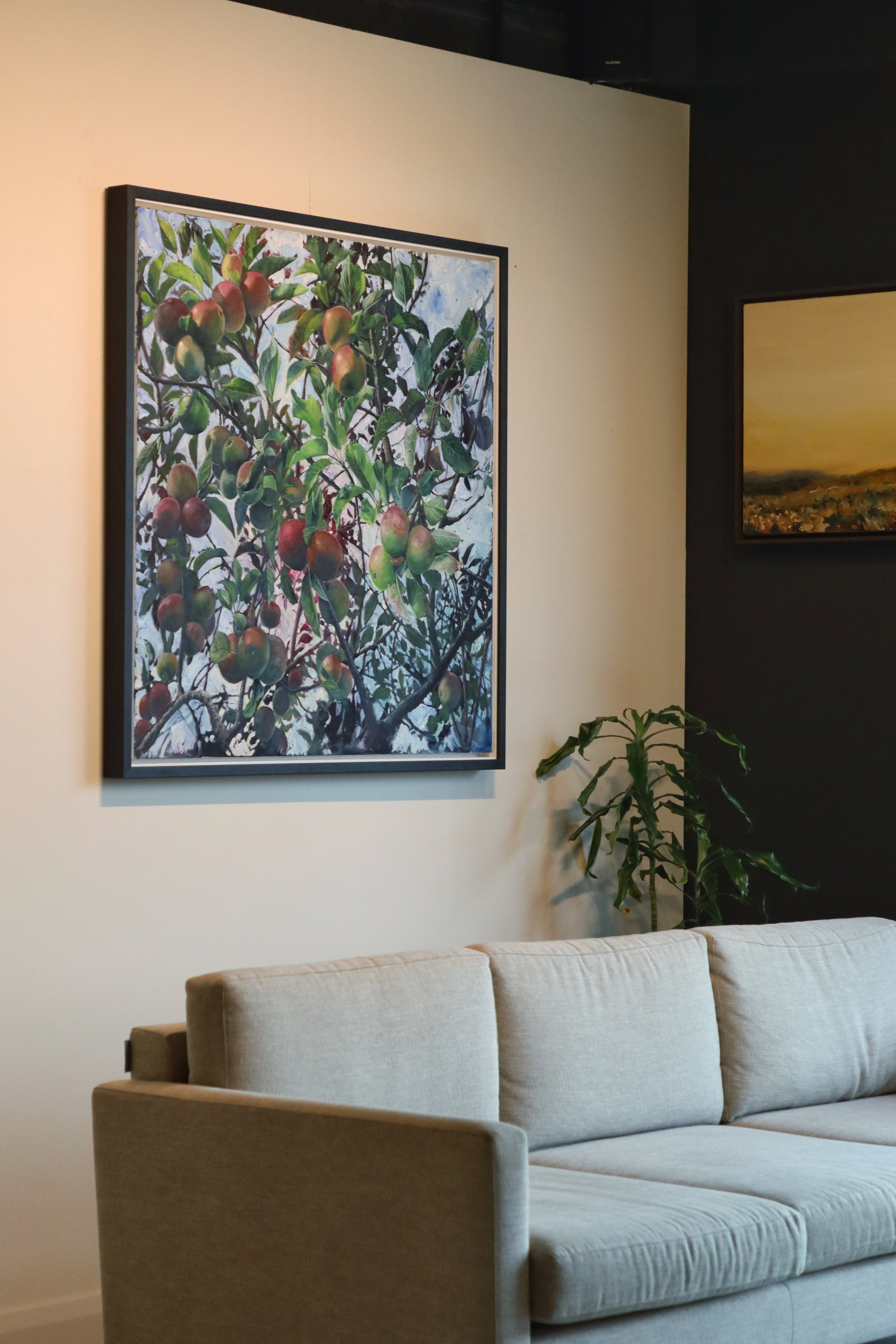 Nextdoor's Apple Tree