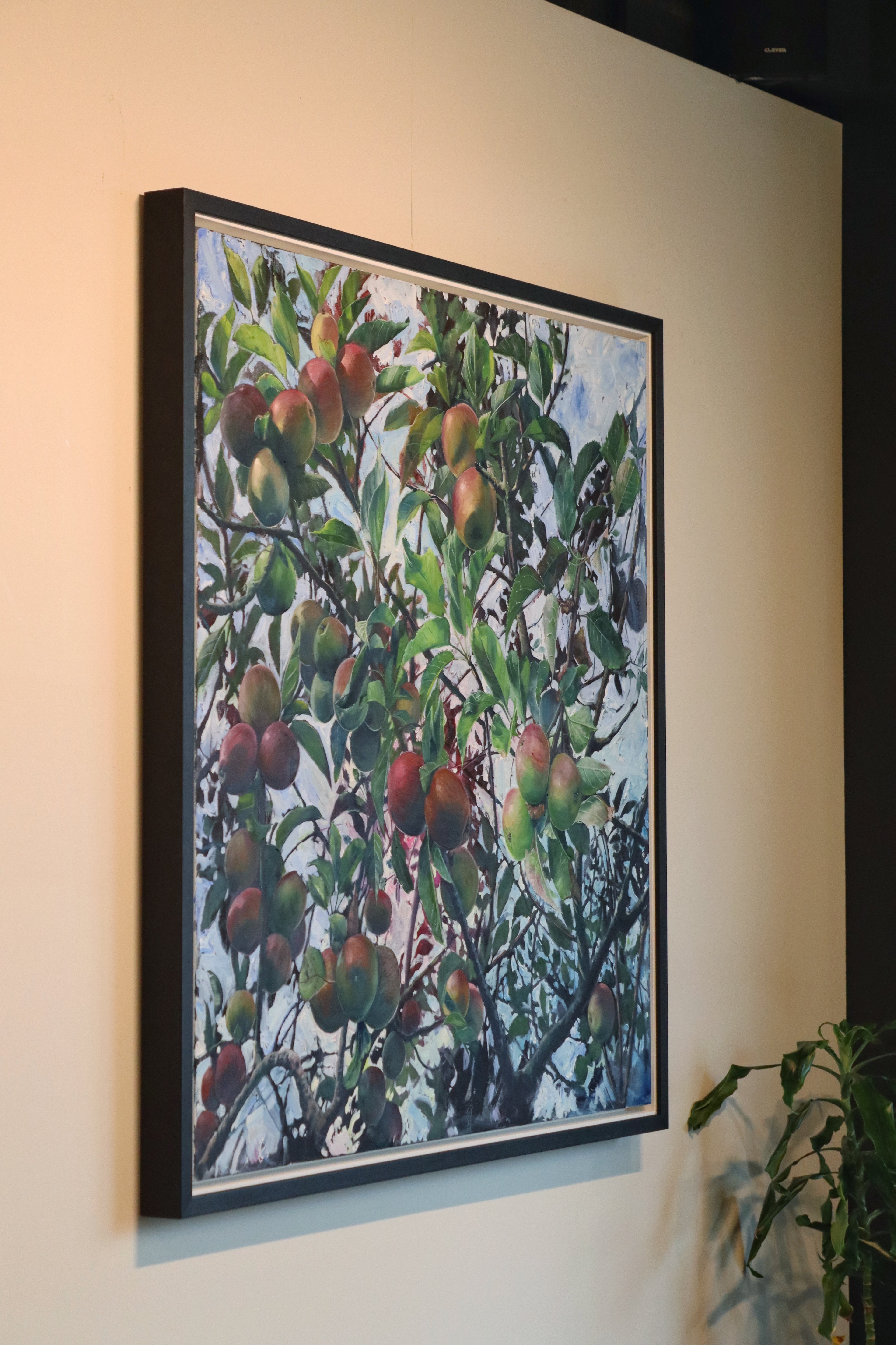 Nextdoor's Apple Tree