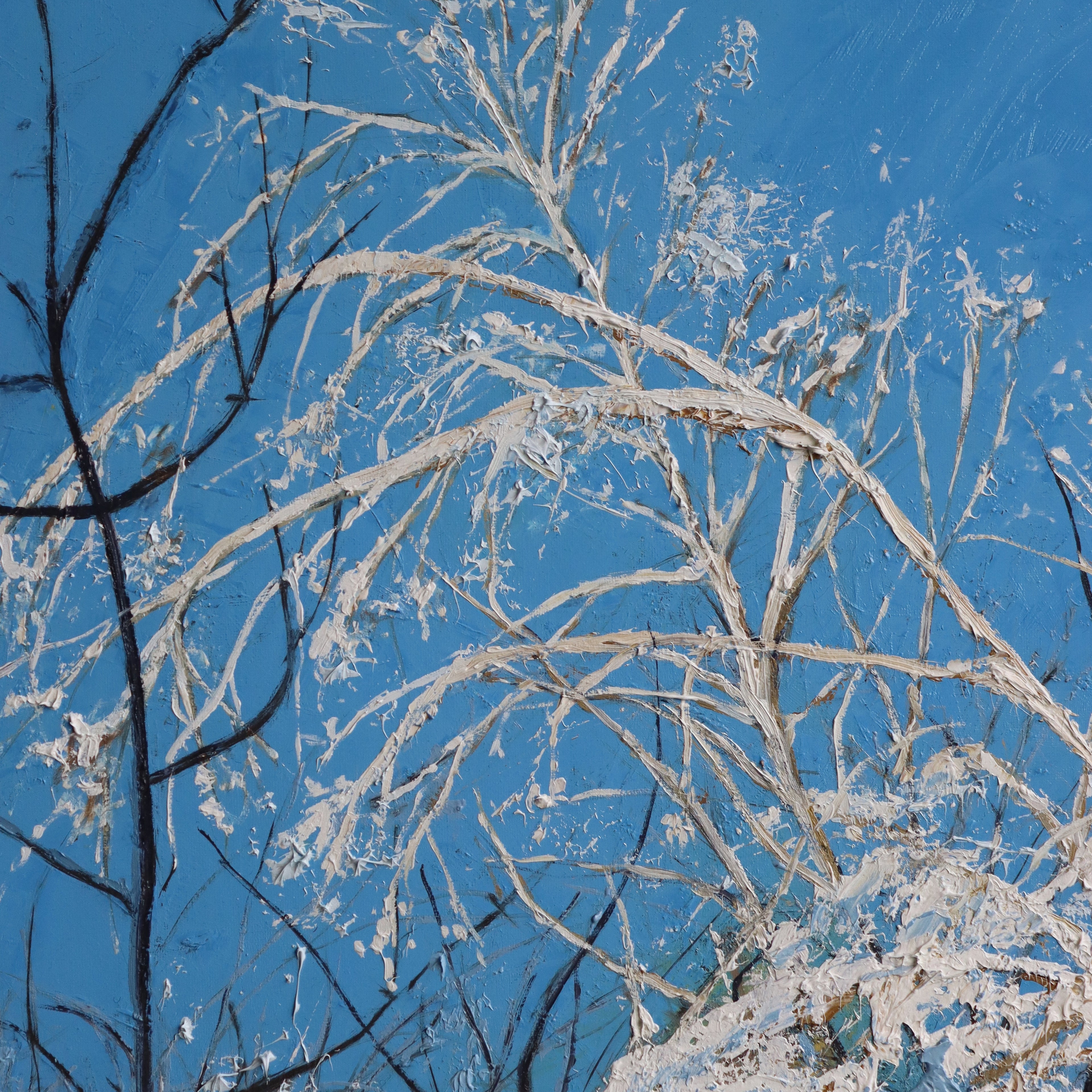 Bluebird