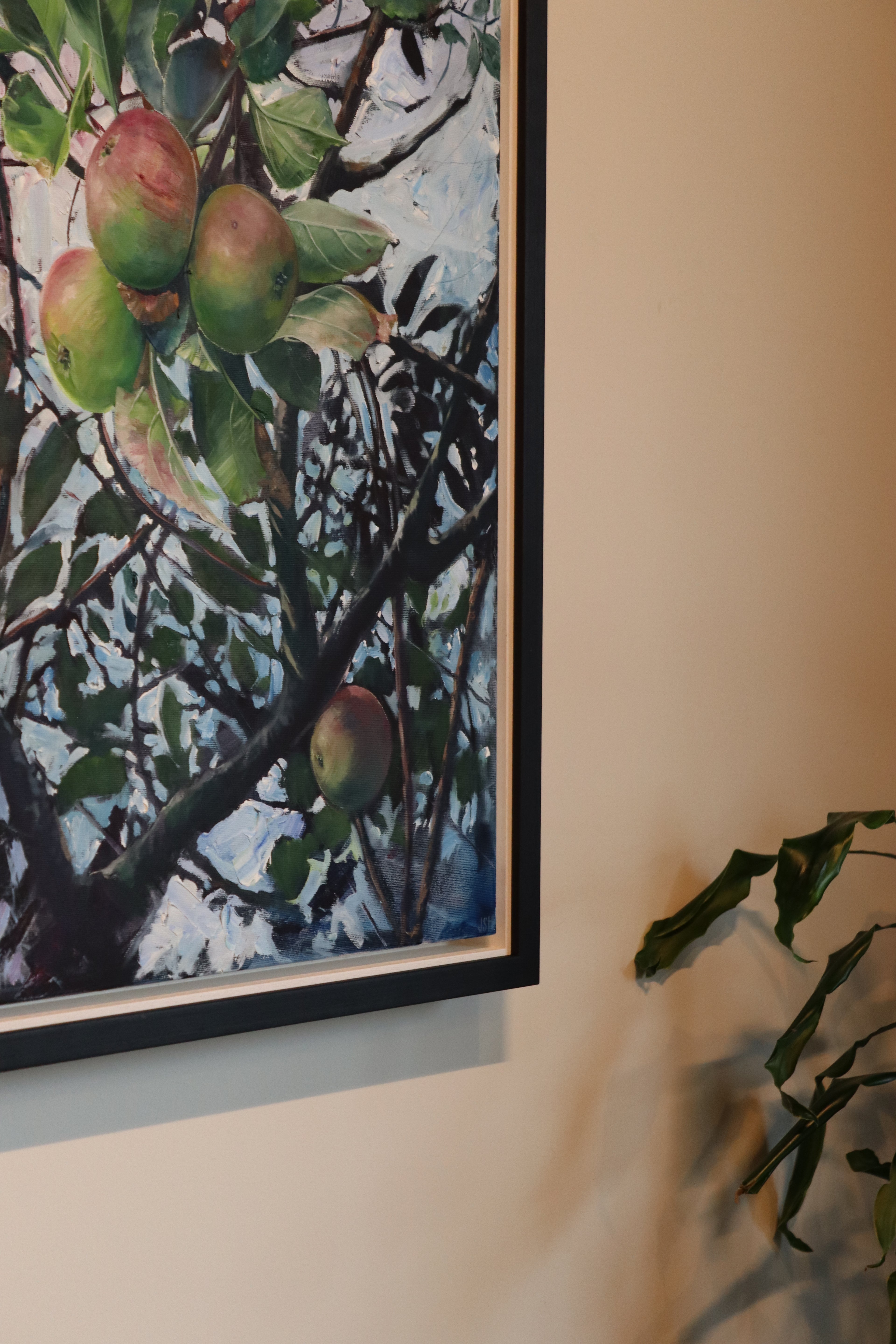 Nextdoor's Apple Tree