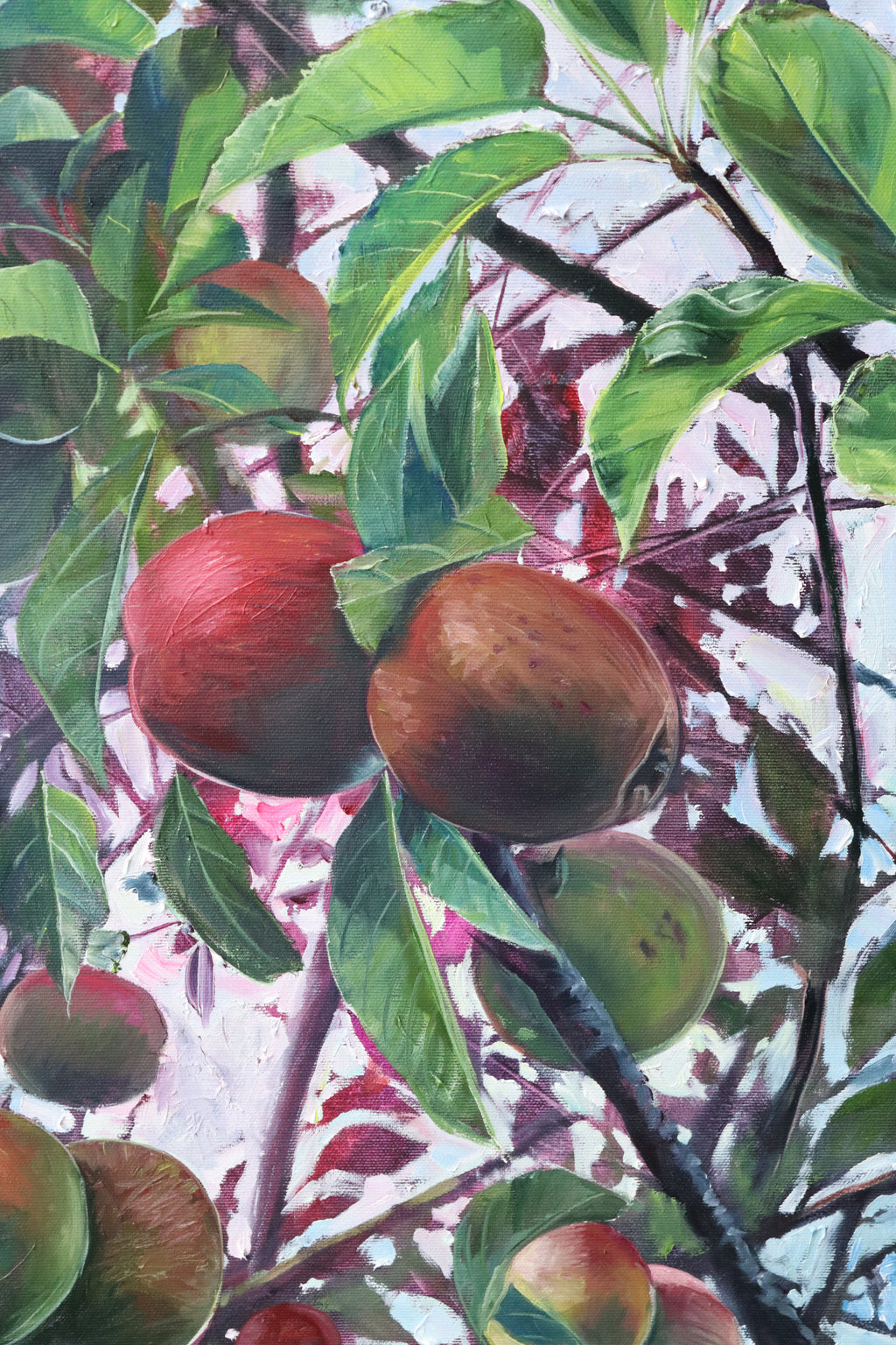 Nextdoor's Apple Tree