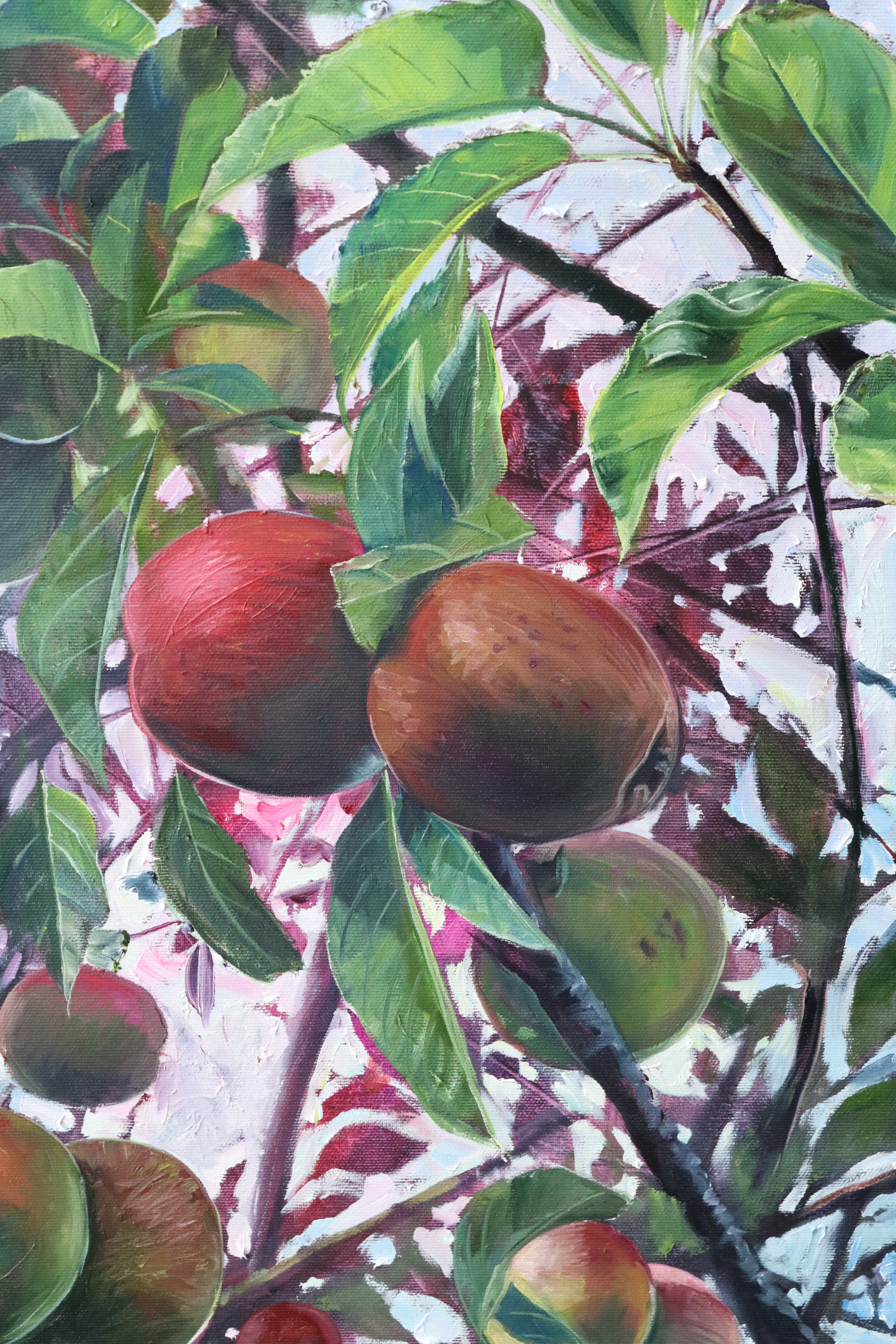 Nextdoor's Apple Tree