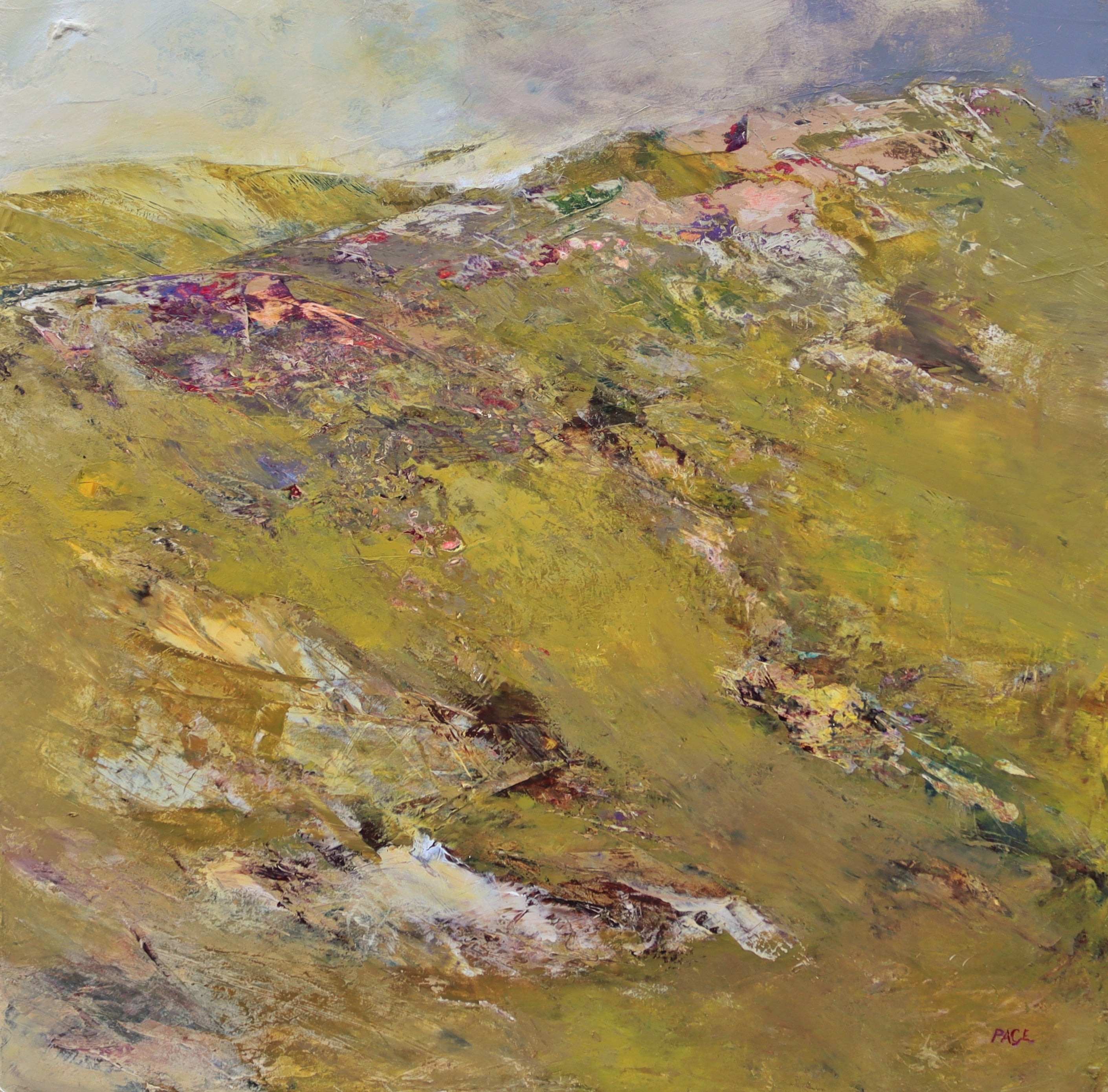 Where The Wild Thyme Blows