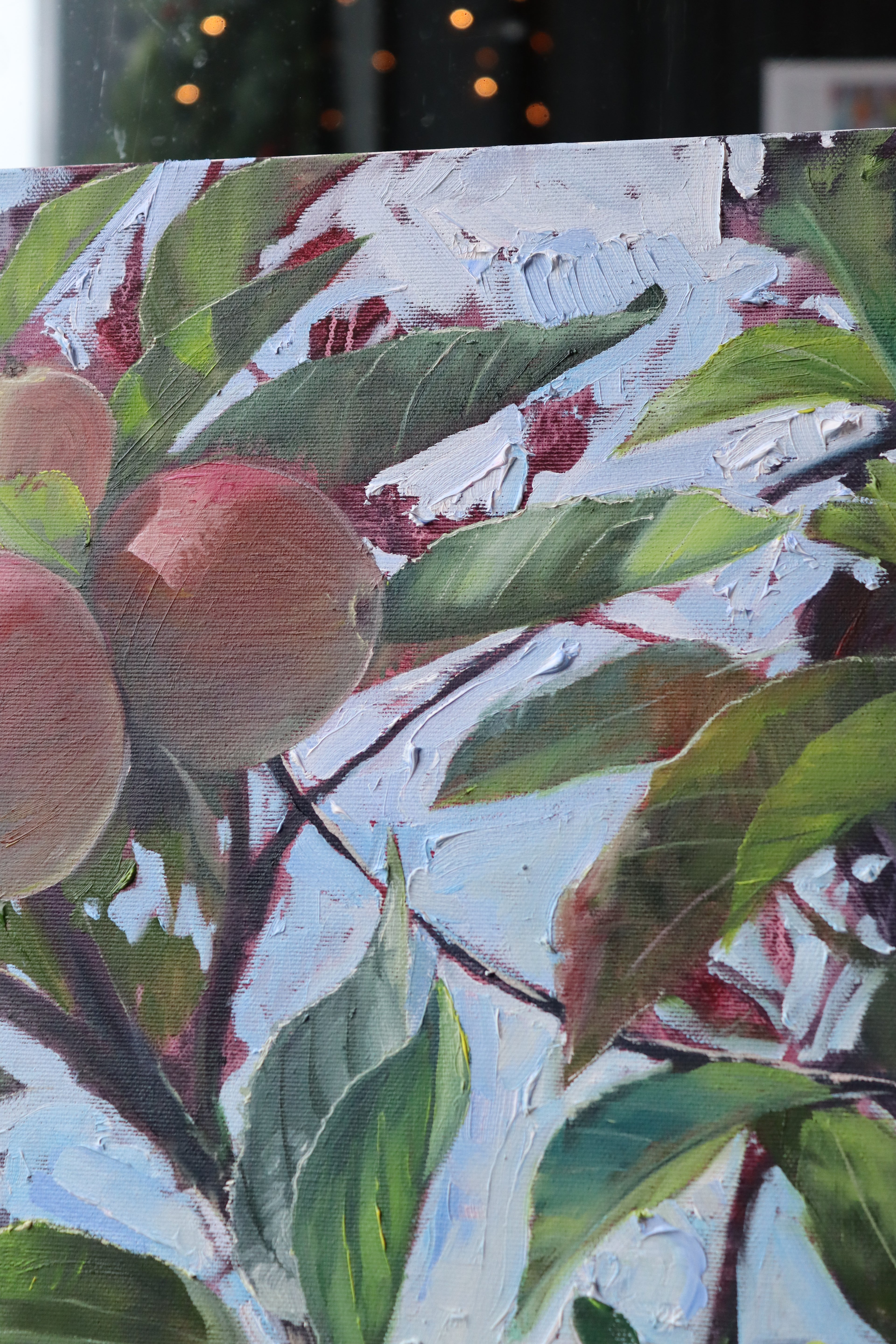 Nextdoor's Apple Tree