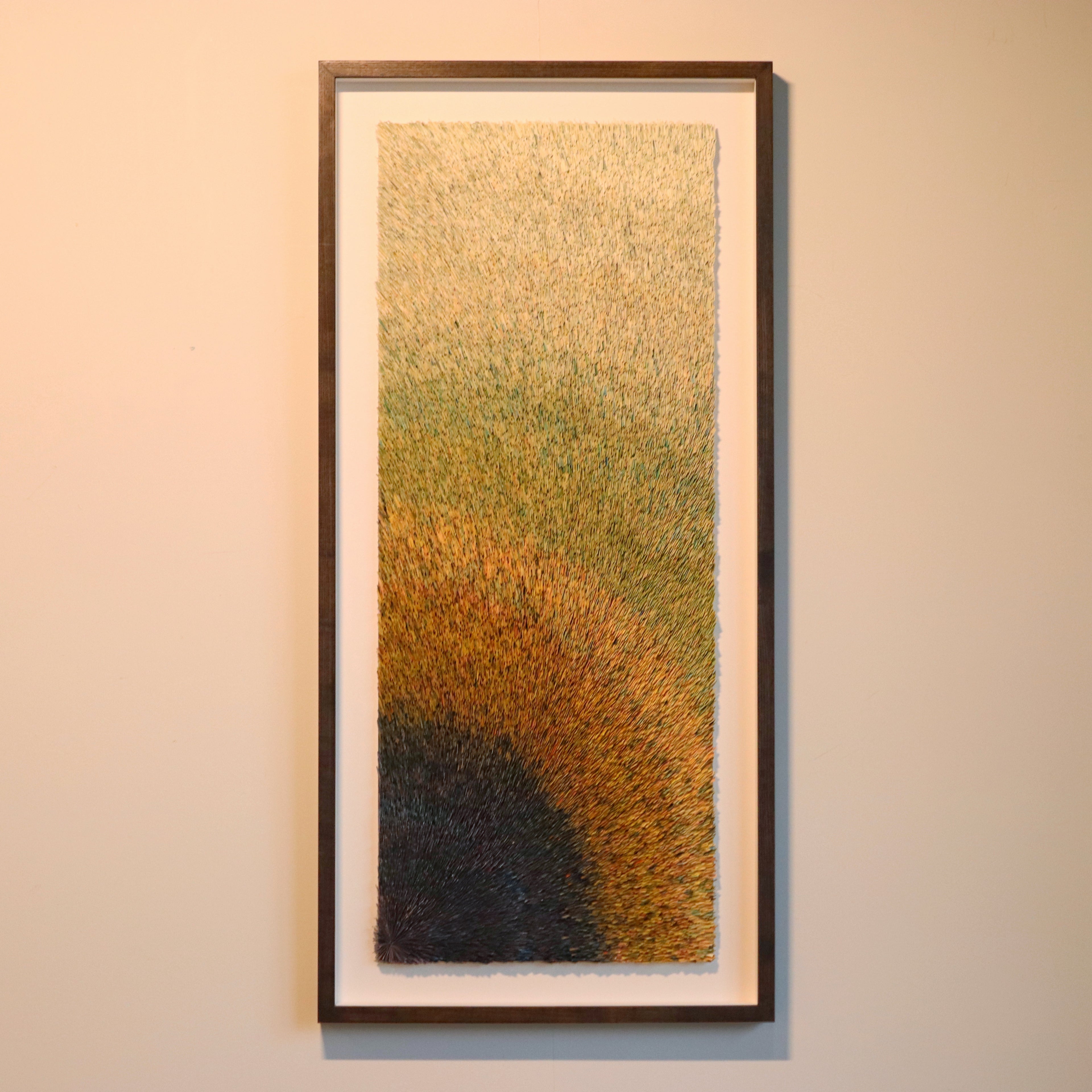 Patterns of the Universe