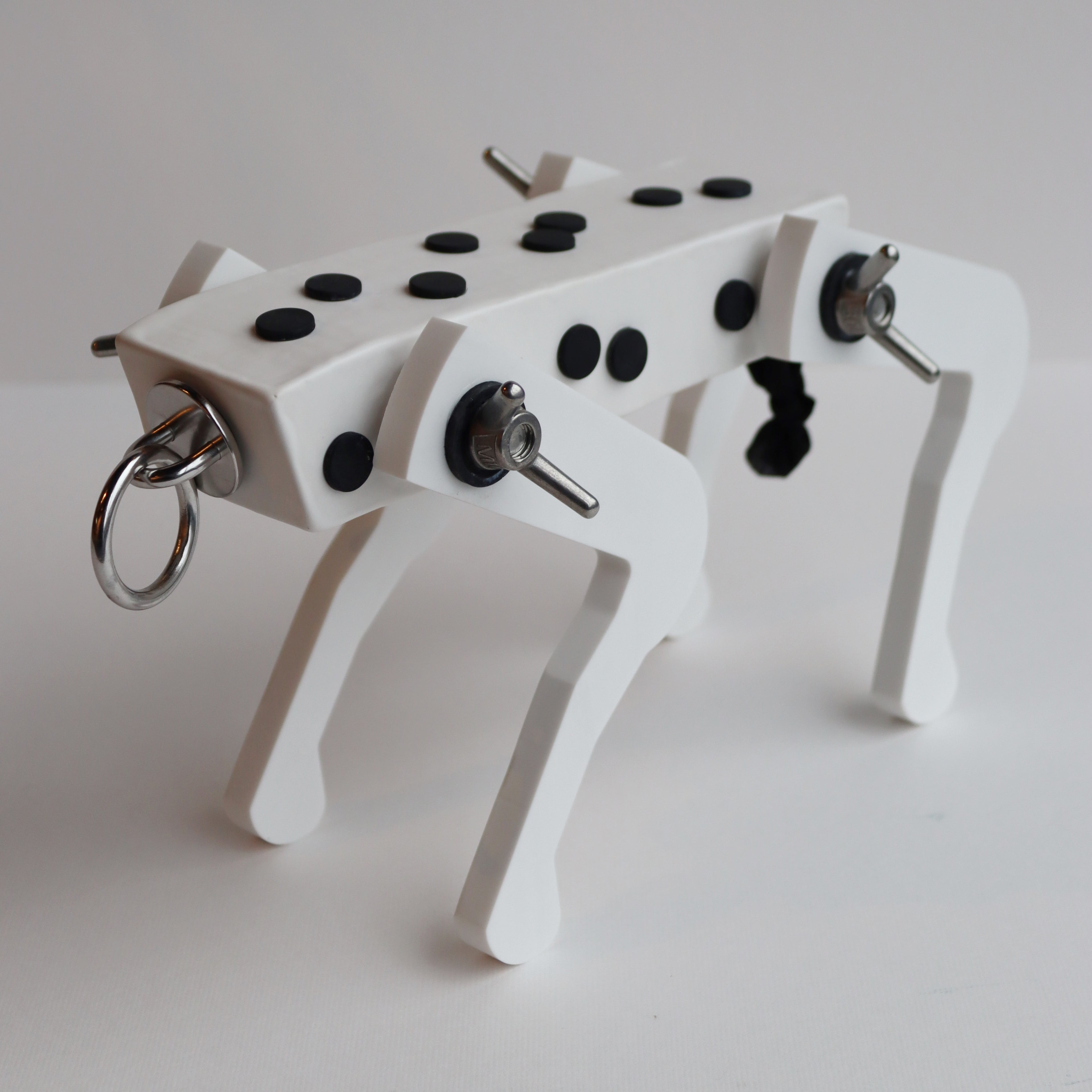 Black Pup (Spot)