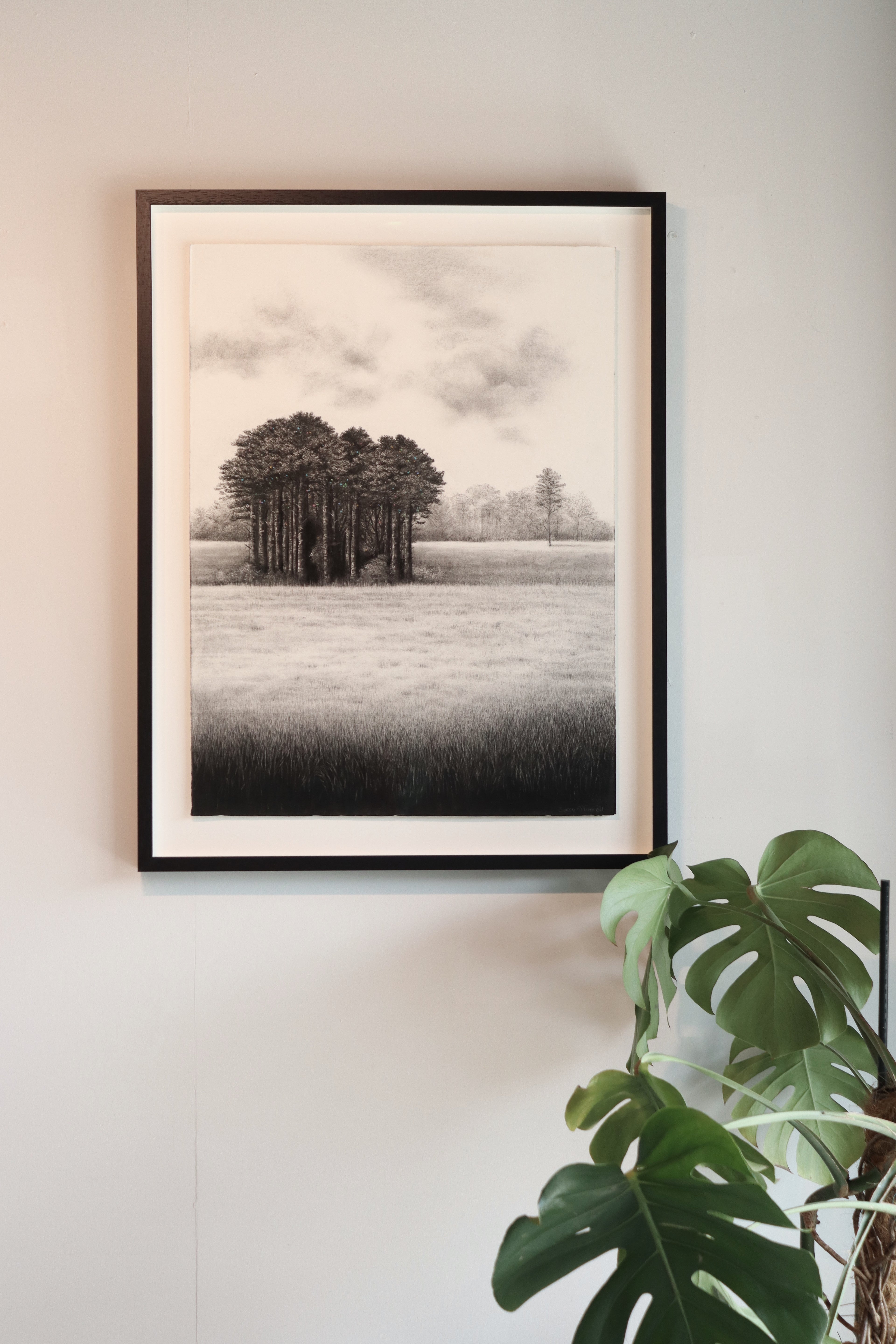 Secret Copse