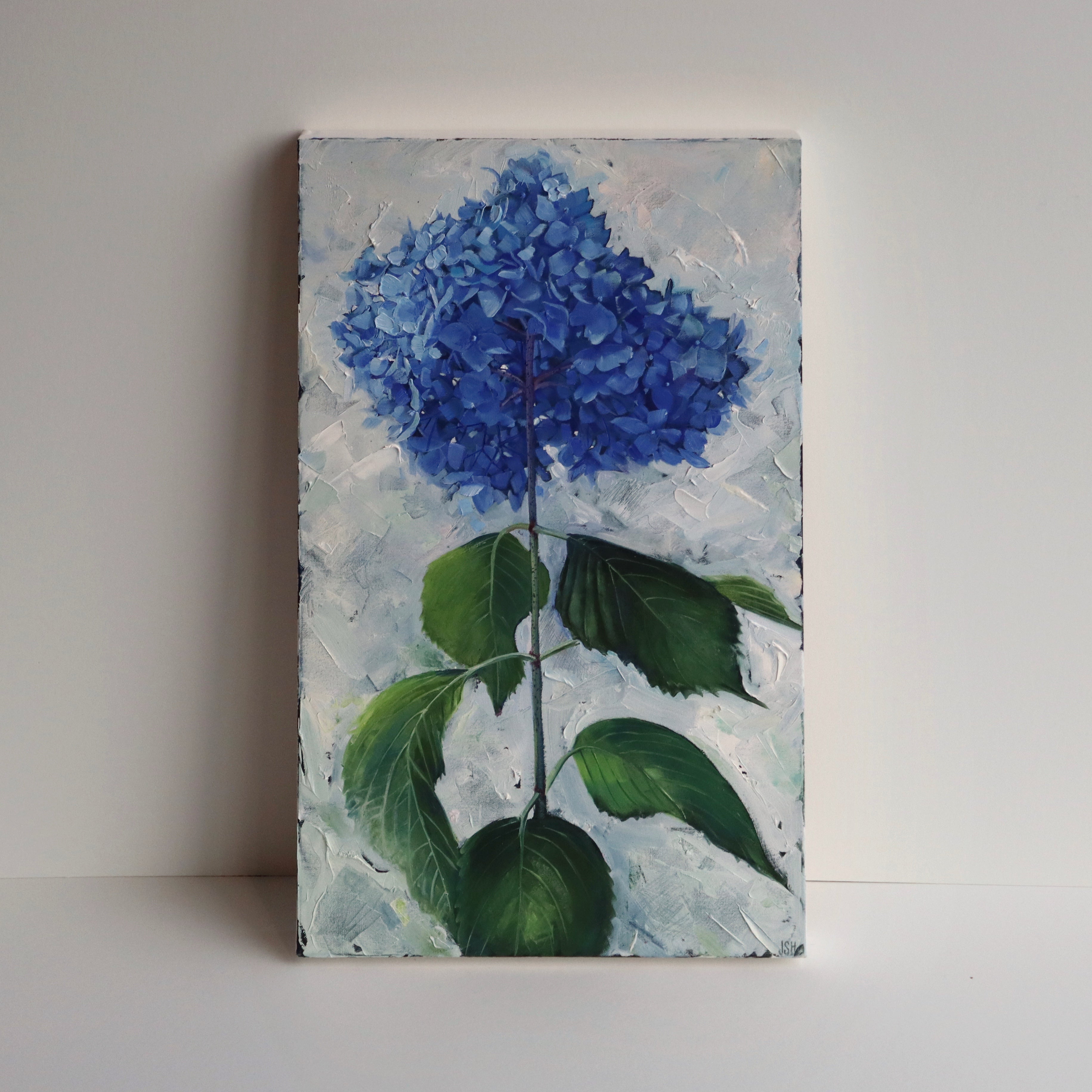 Single Hydrangea