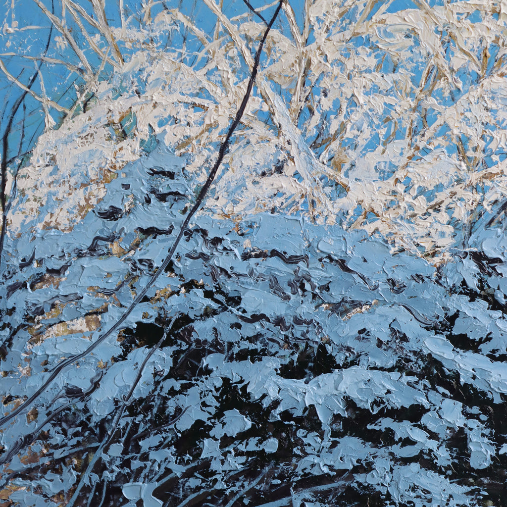 Bluebird