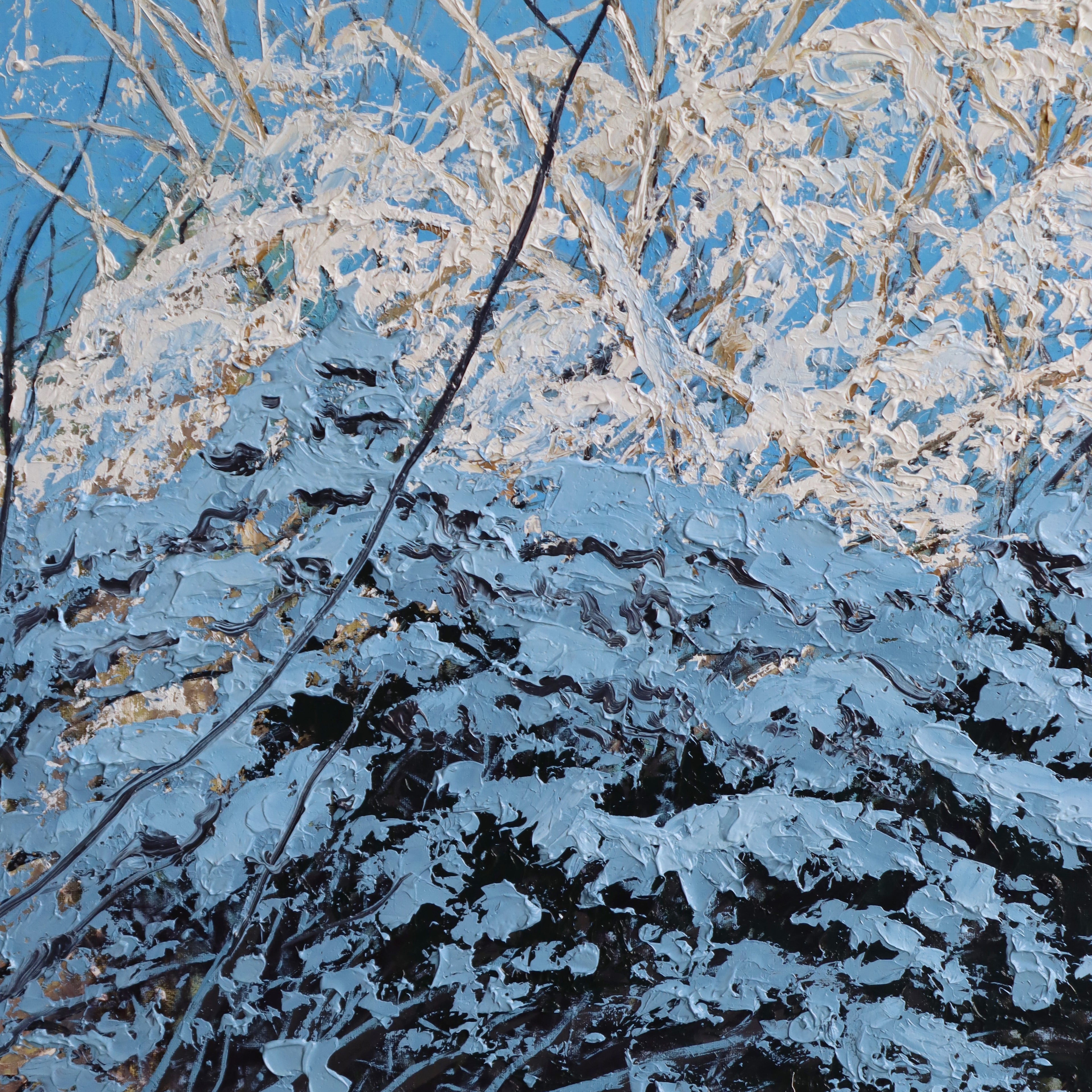 Bluebird