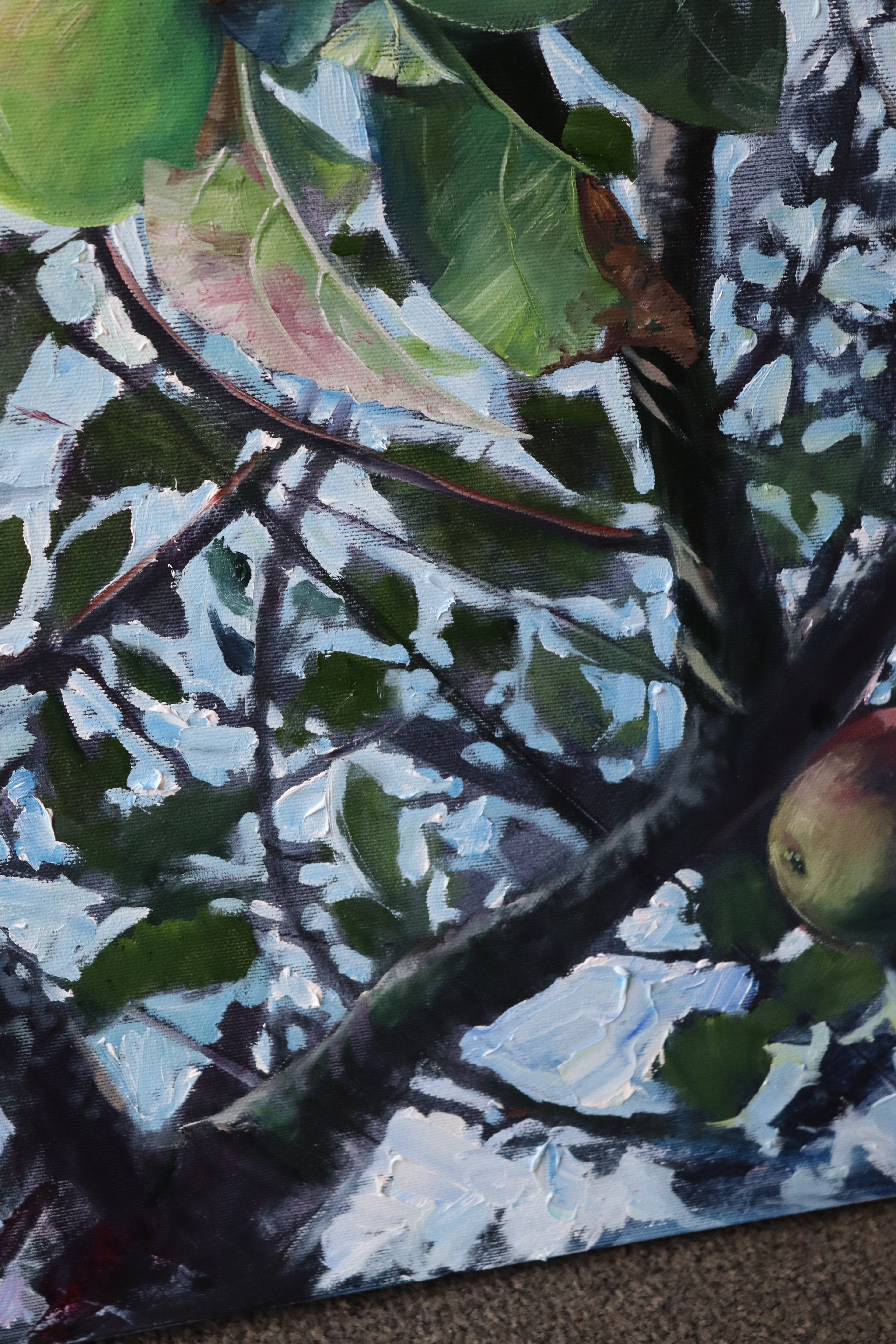 Nextdoor's Apple Tree