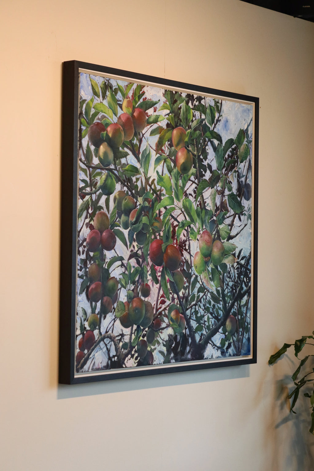 Nextdoor's Apple Tree