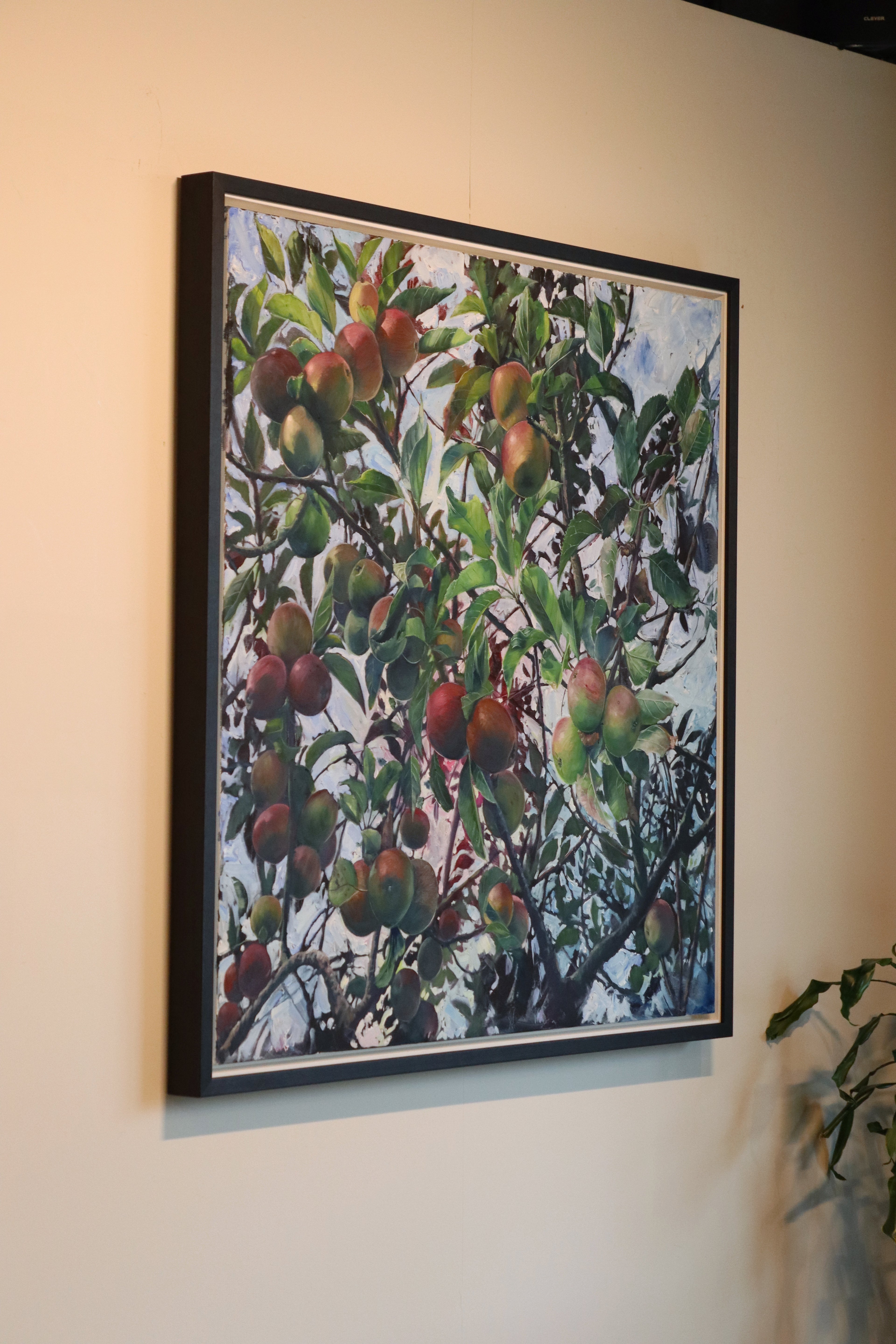 Nextdoor's Apple Tree