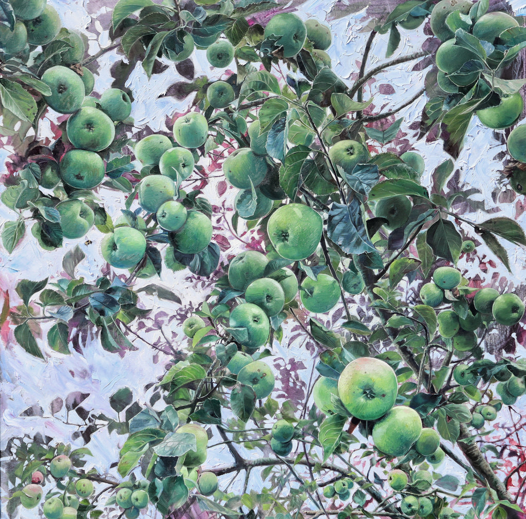 Apple Harvest