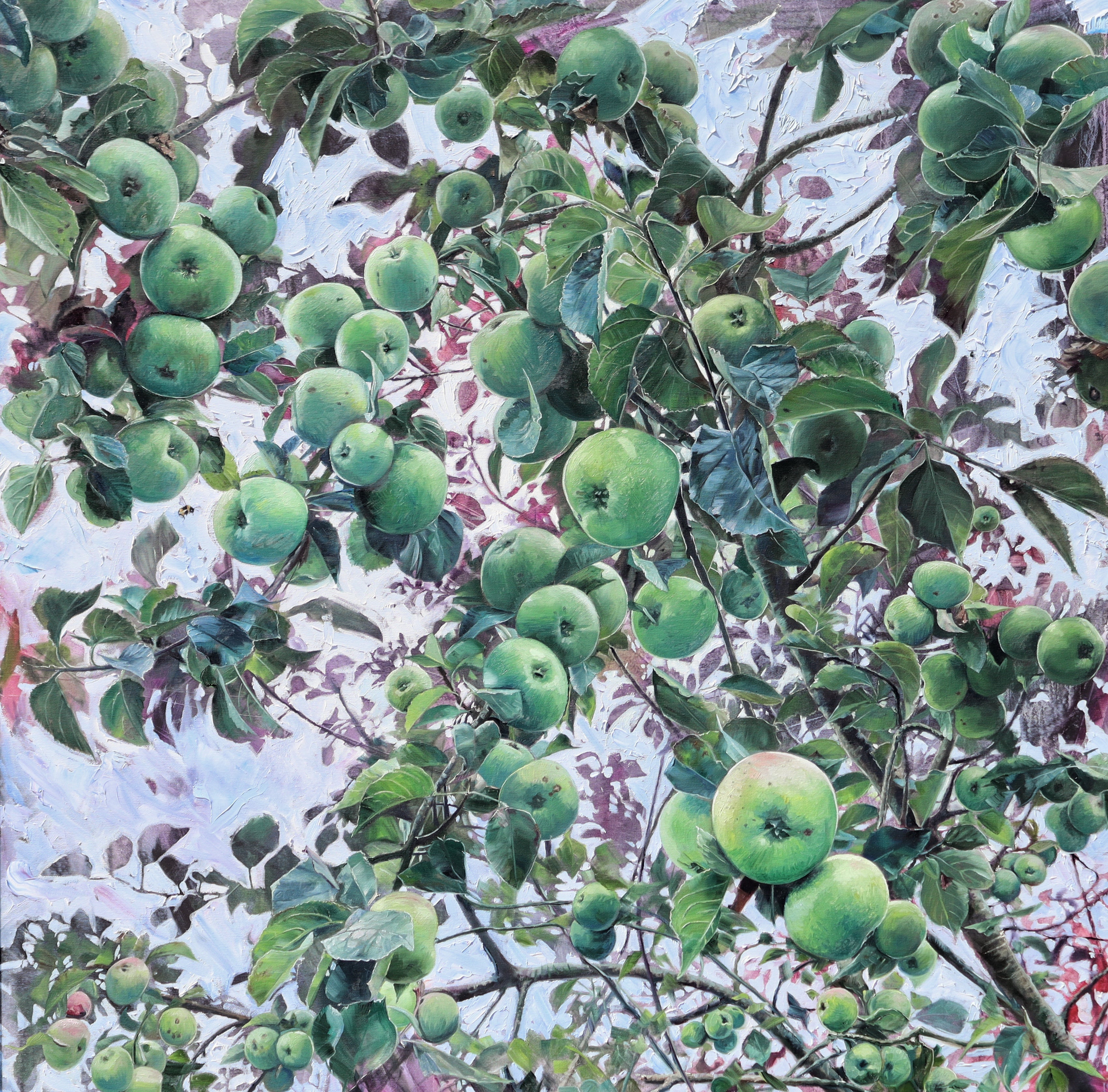 Apple Harvest