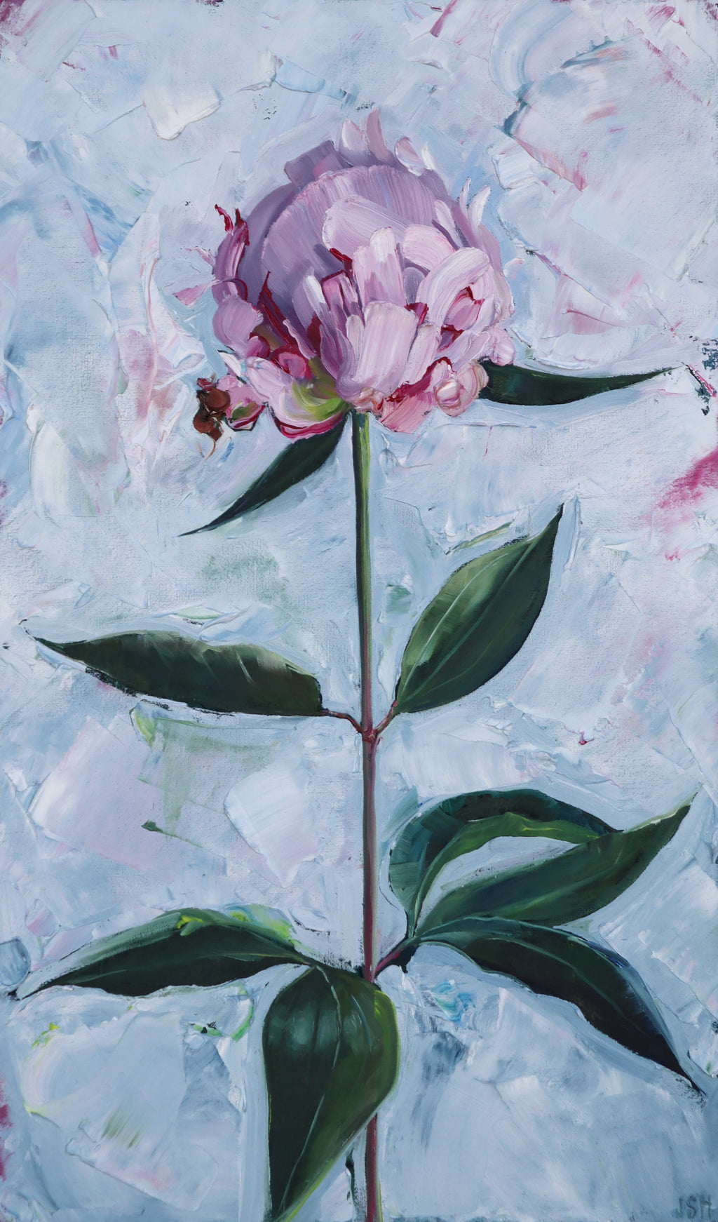 Single Peony I