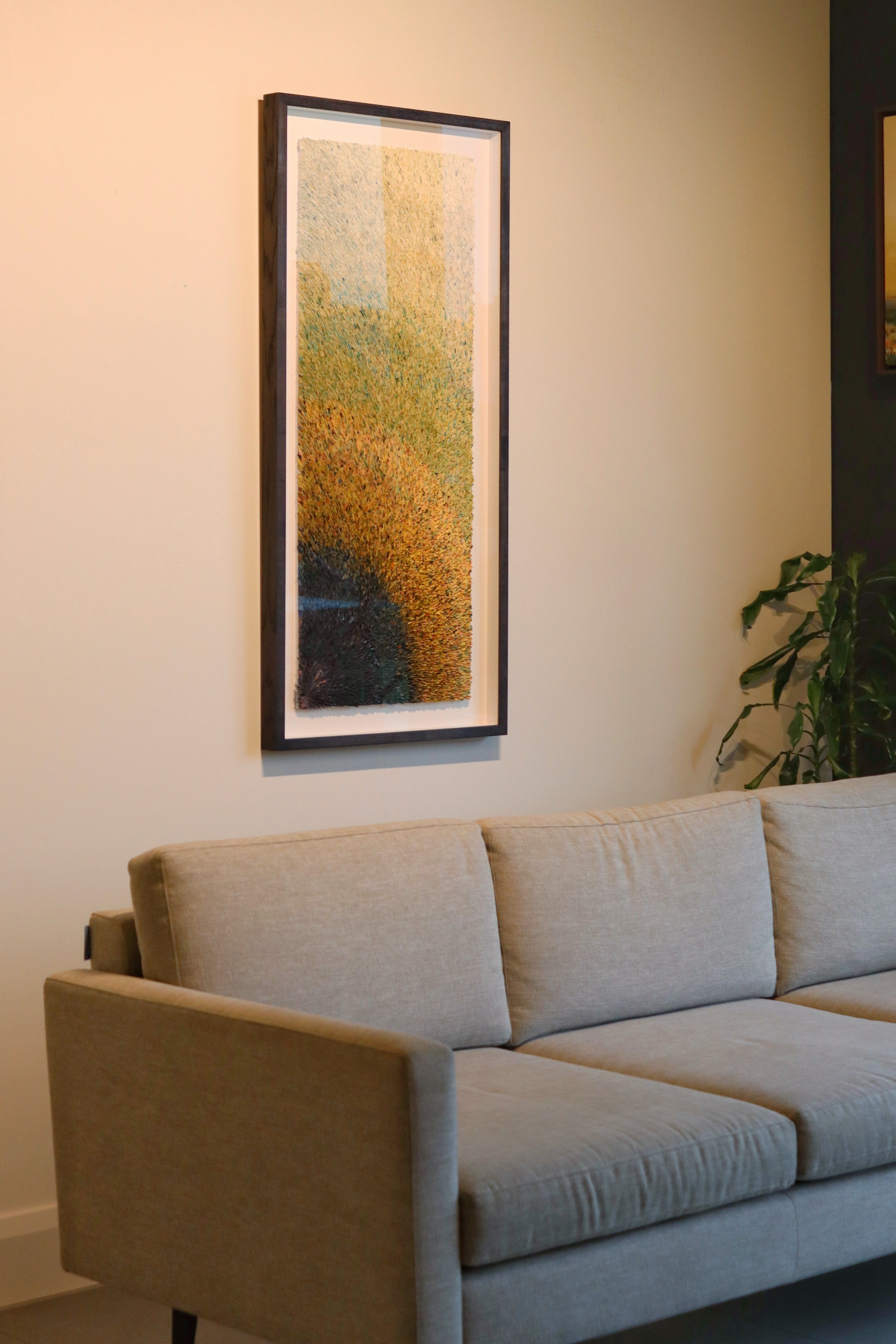 Patterns of the Universe