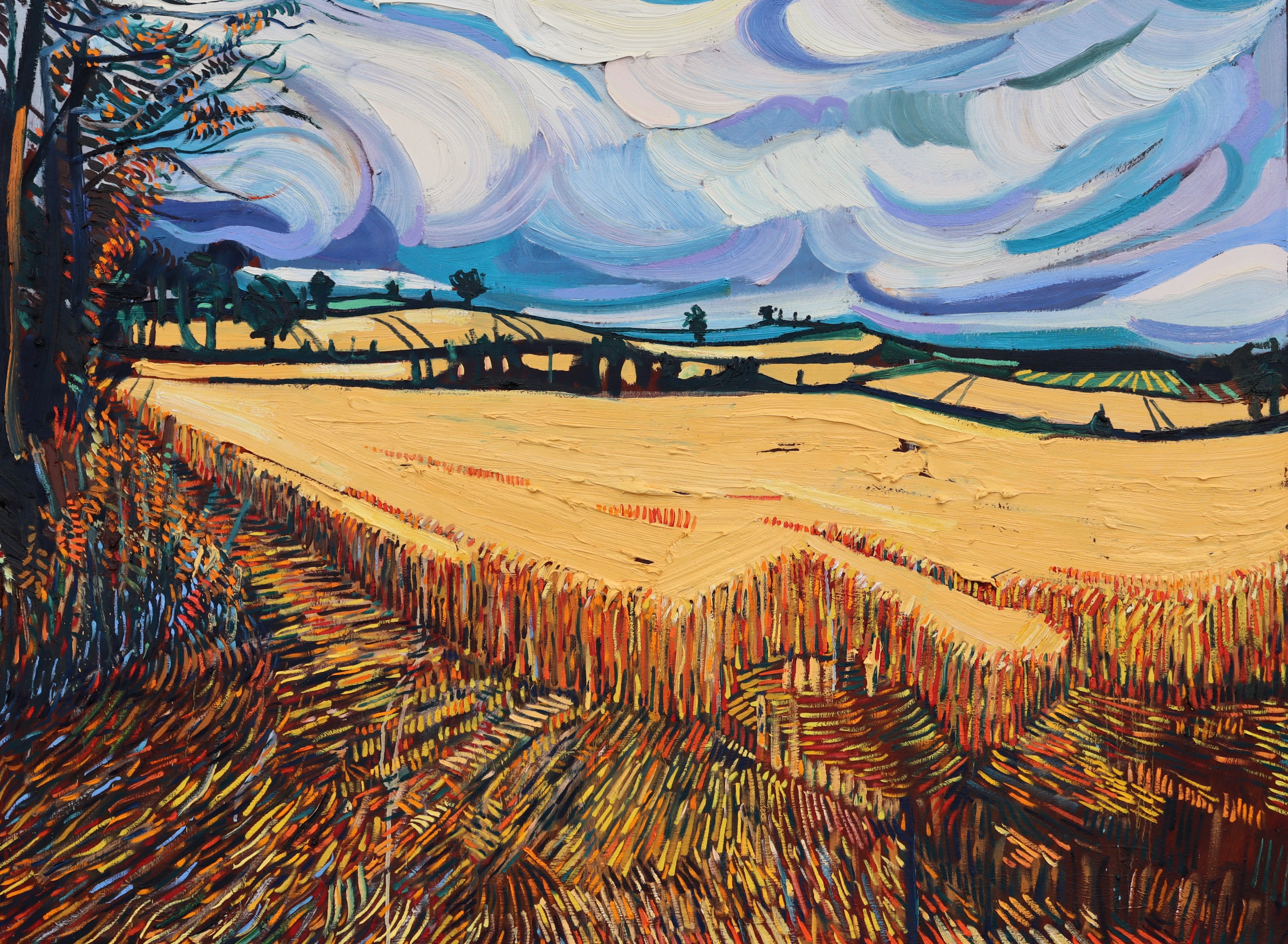 Corn fields Near Rathfriland