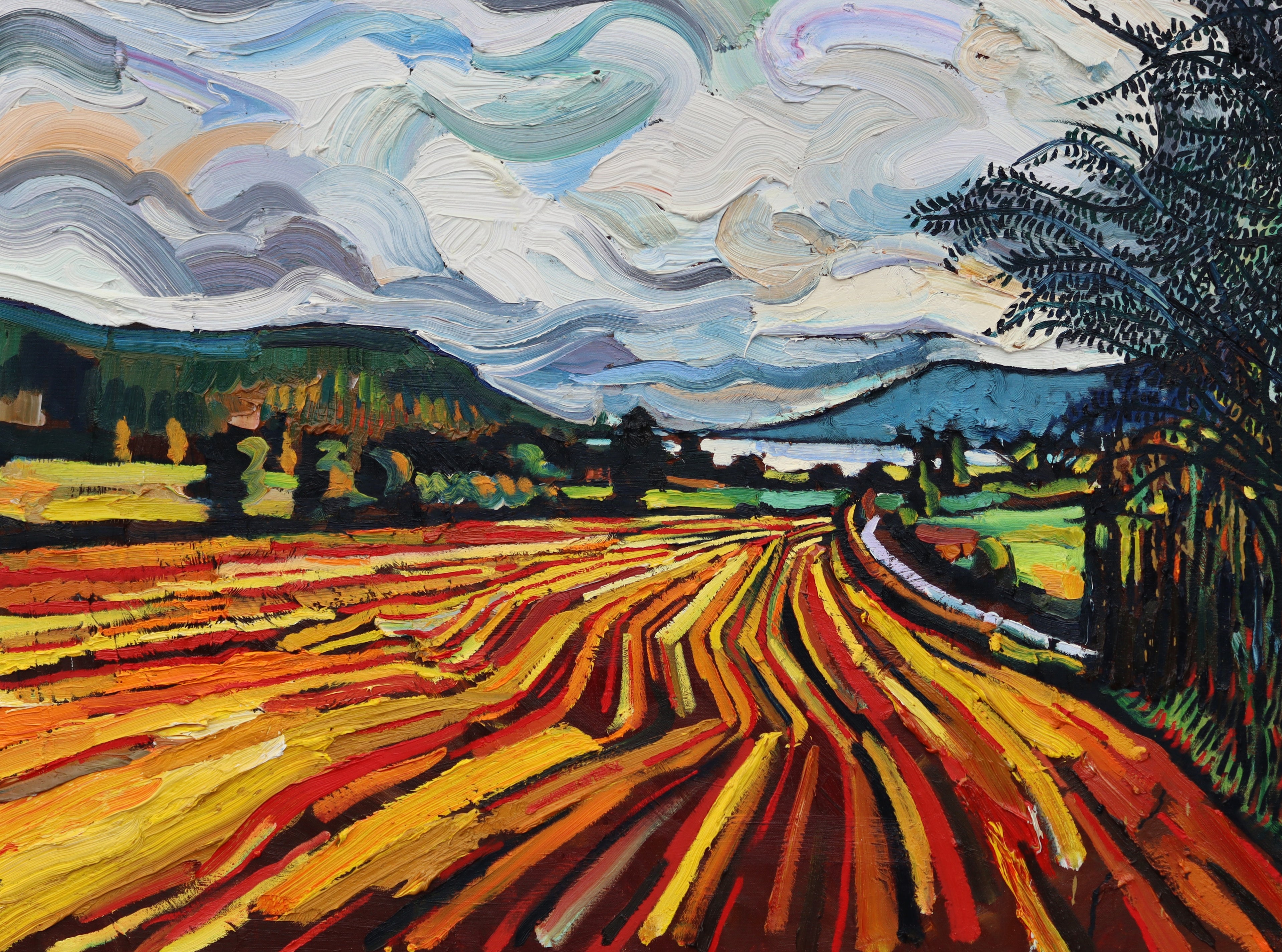 Drumsesk Road, Looking Towards Rostrevor