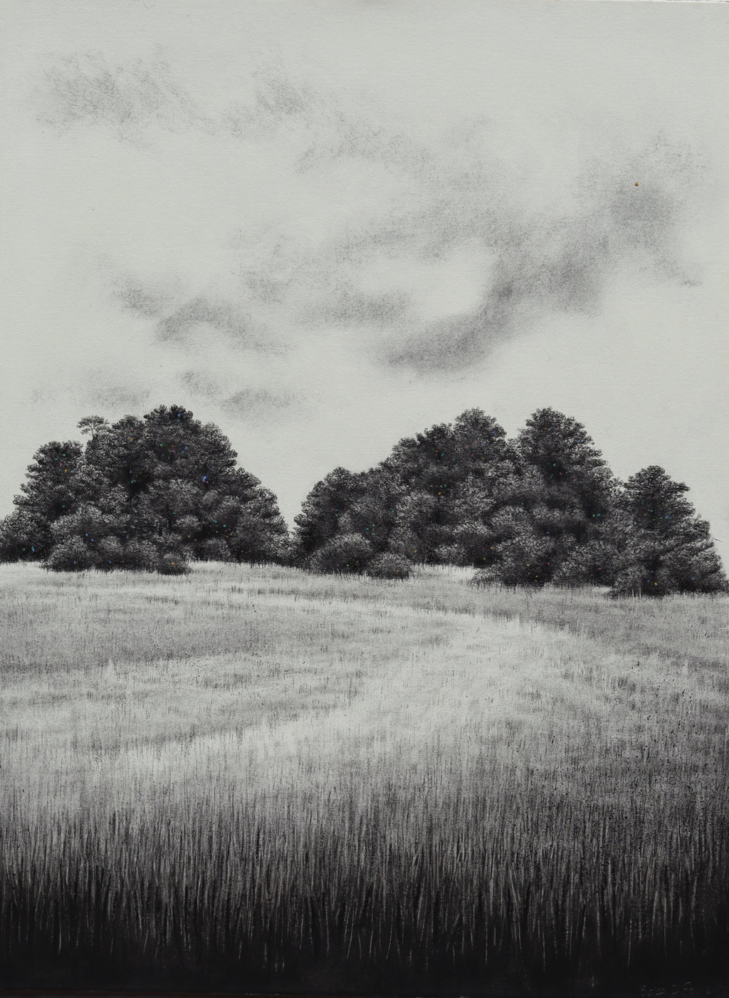 Across the Fields