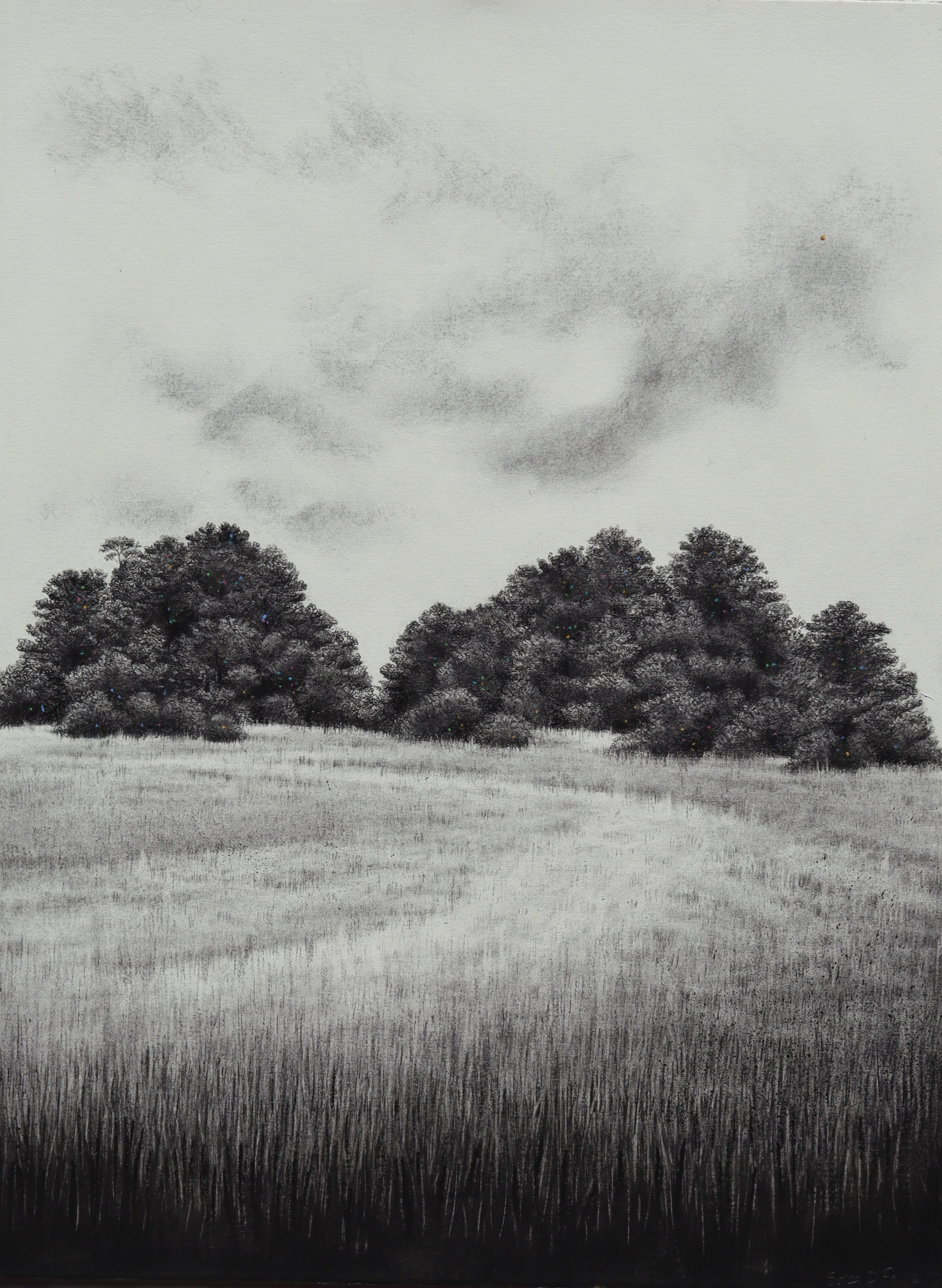 Across the Fields