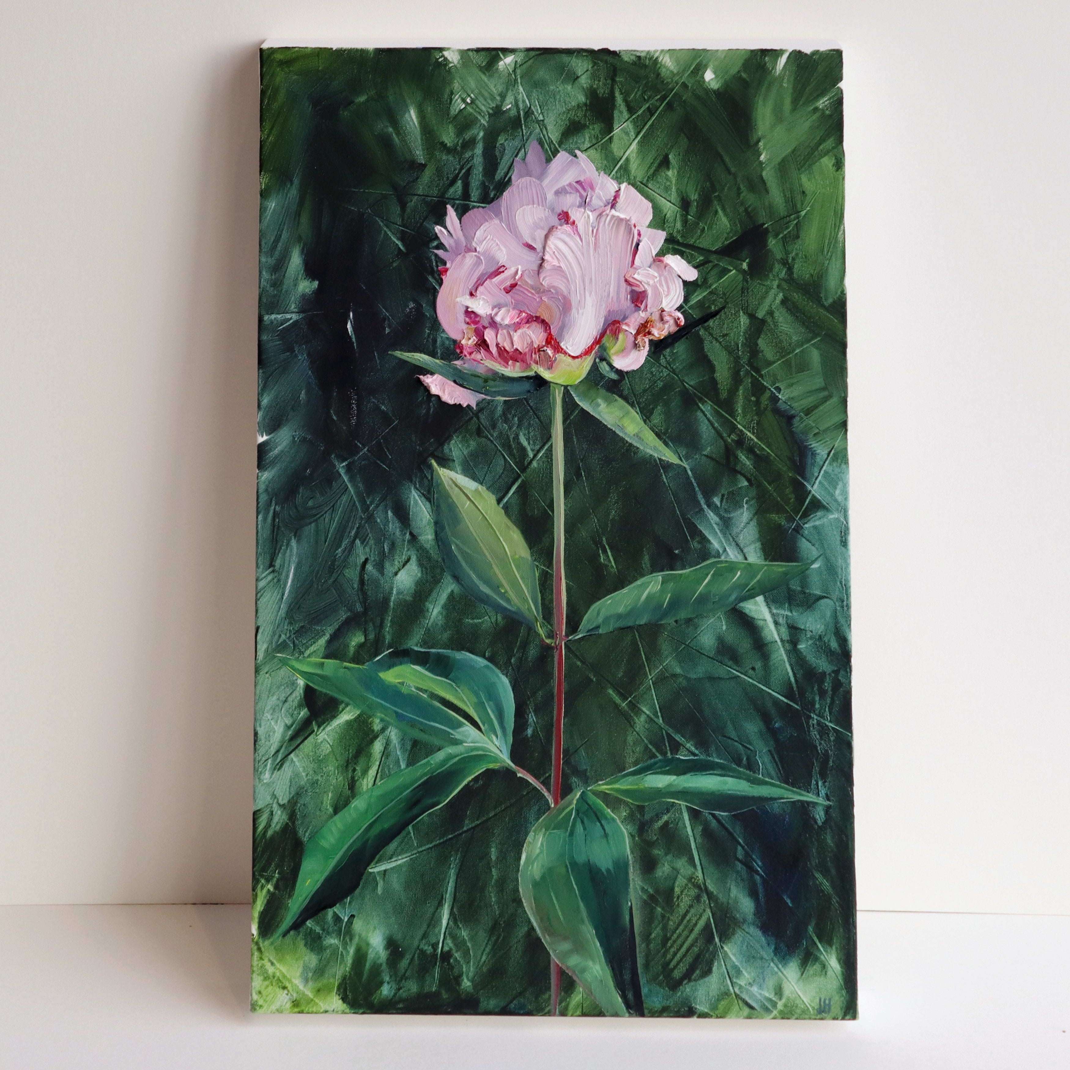 Single Peony