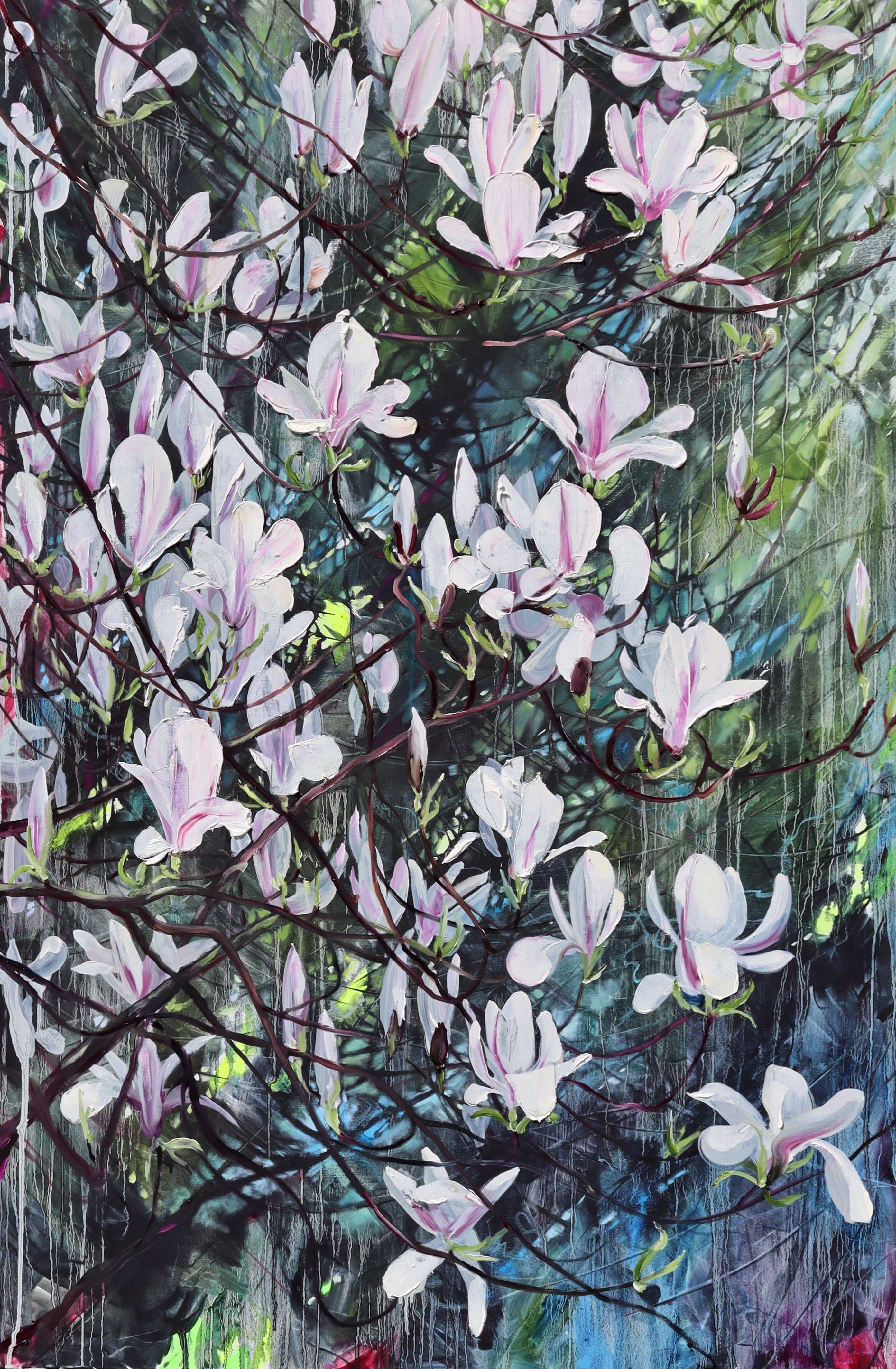 Kirkliston Magnolia