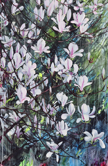Kirkliston Magnolia