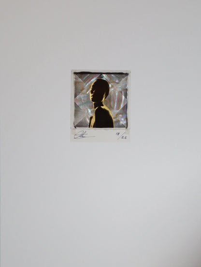 Reflecting Prisms